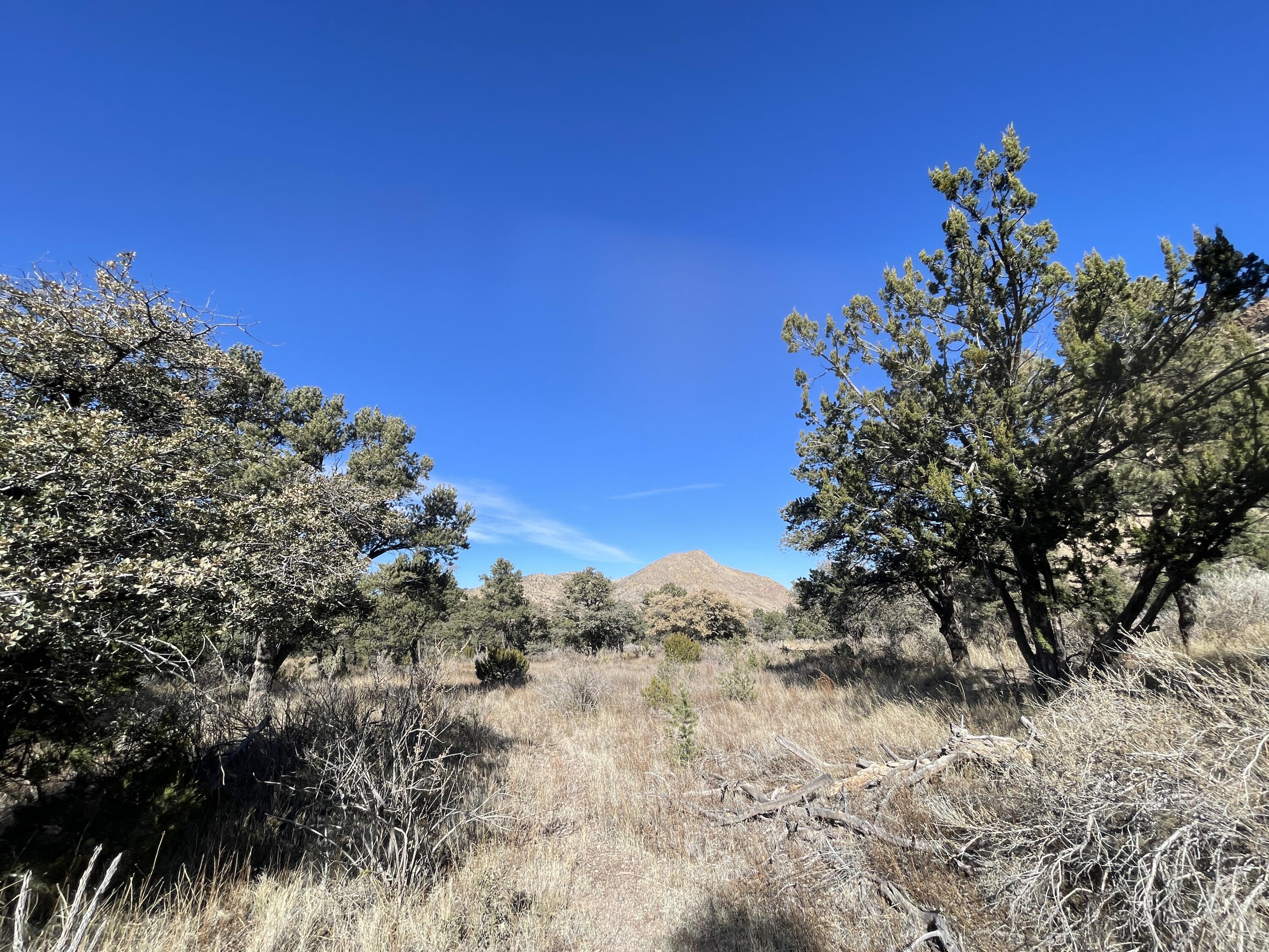 14+ Acres Hop Canyon