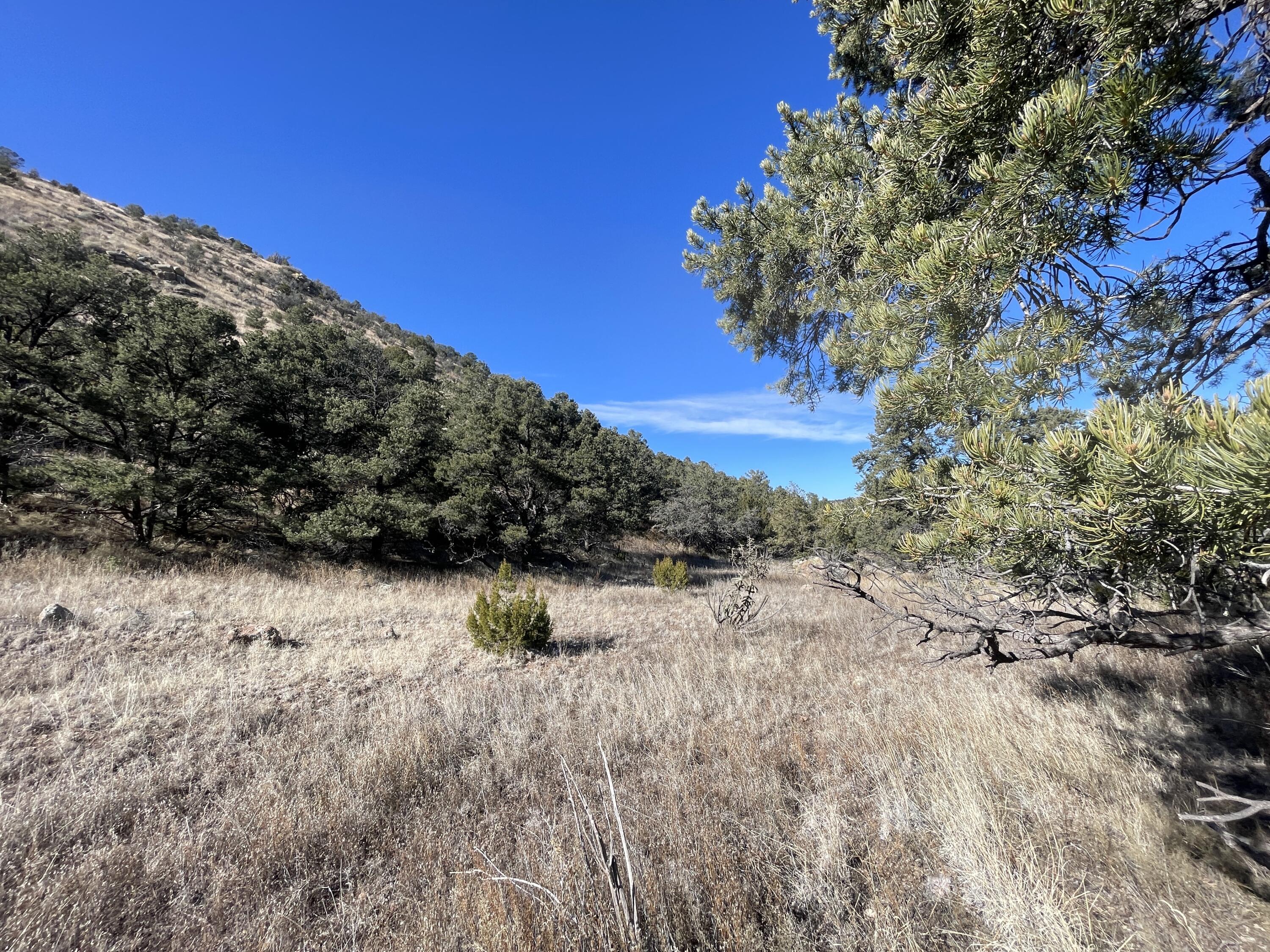 14+ Acres Hop Canyon