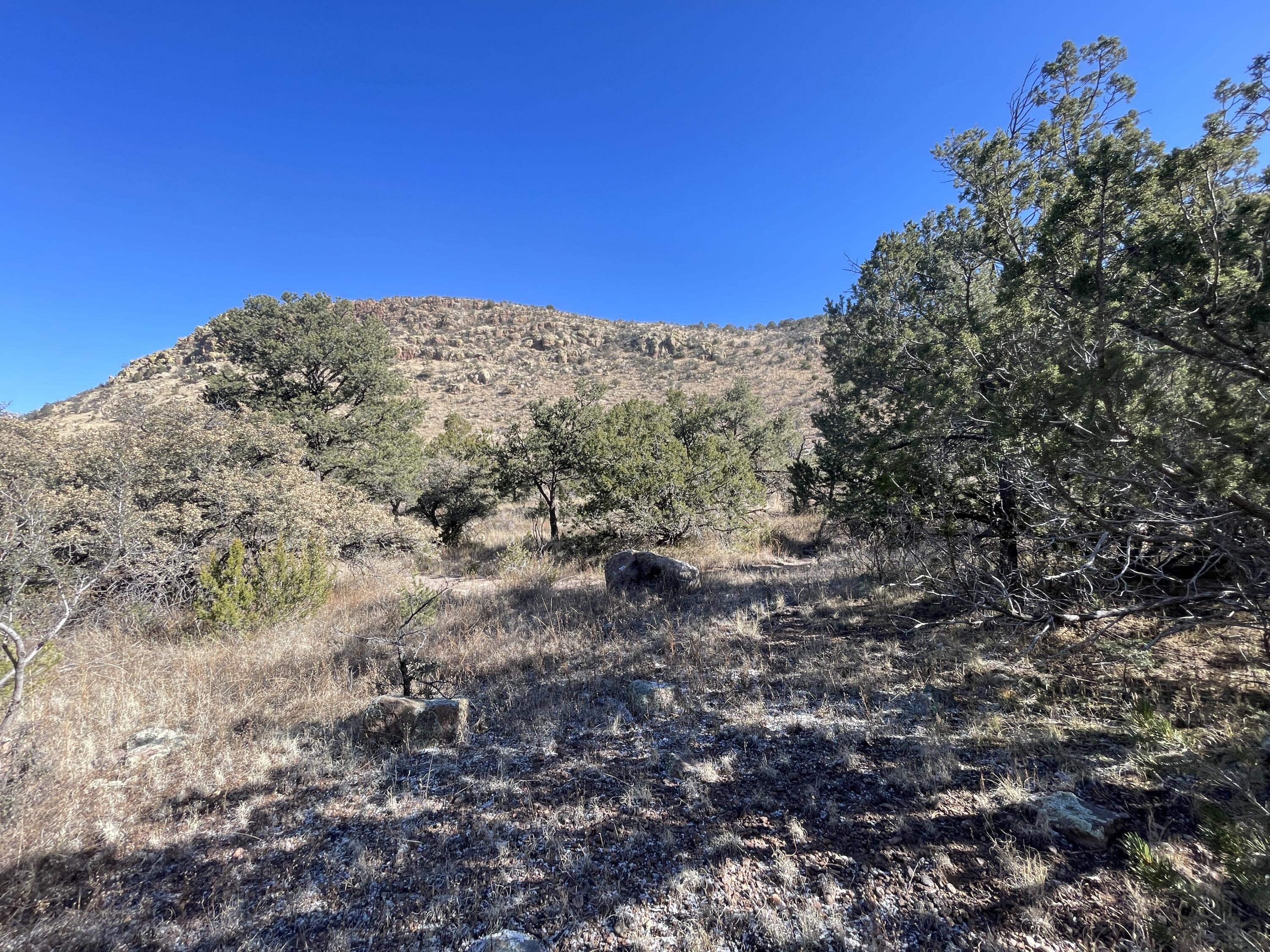 14+ Acres Hop Canyon