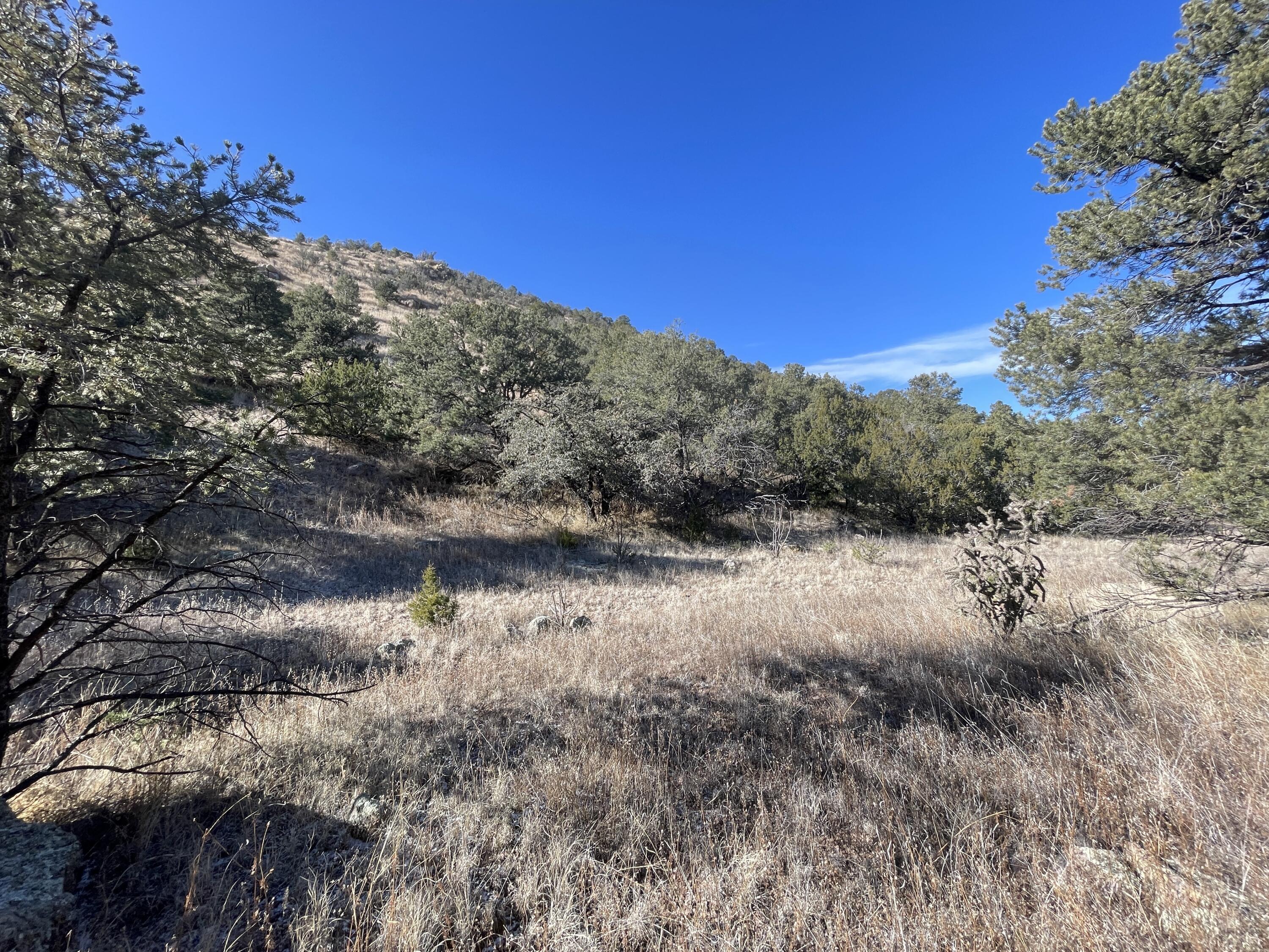14+ Acres Hop Canyon