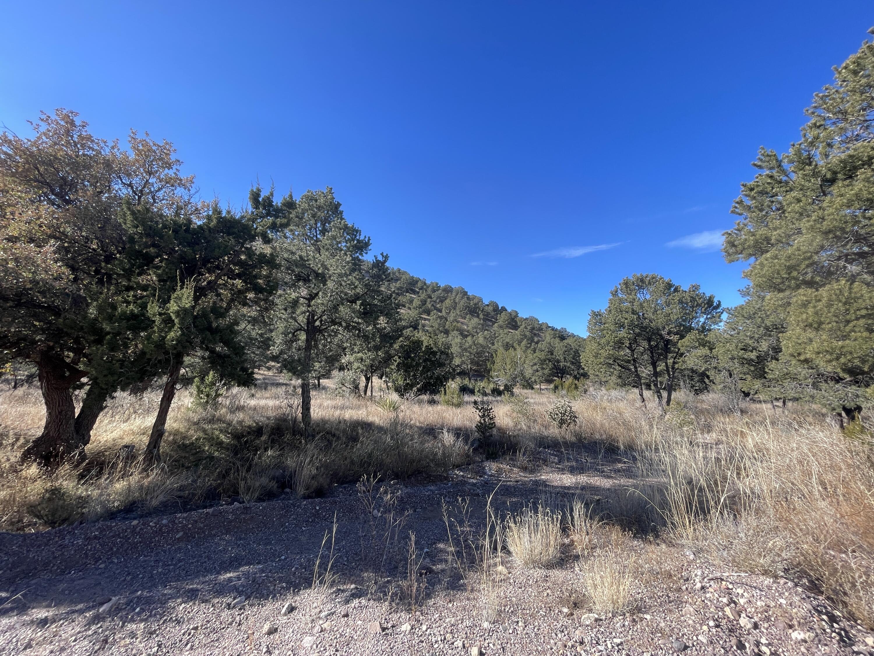 14+ Acres Hop Canyon