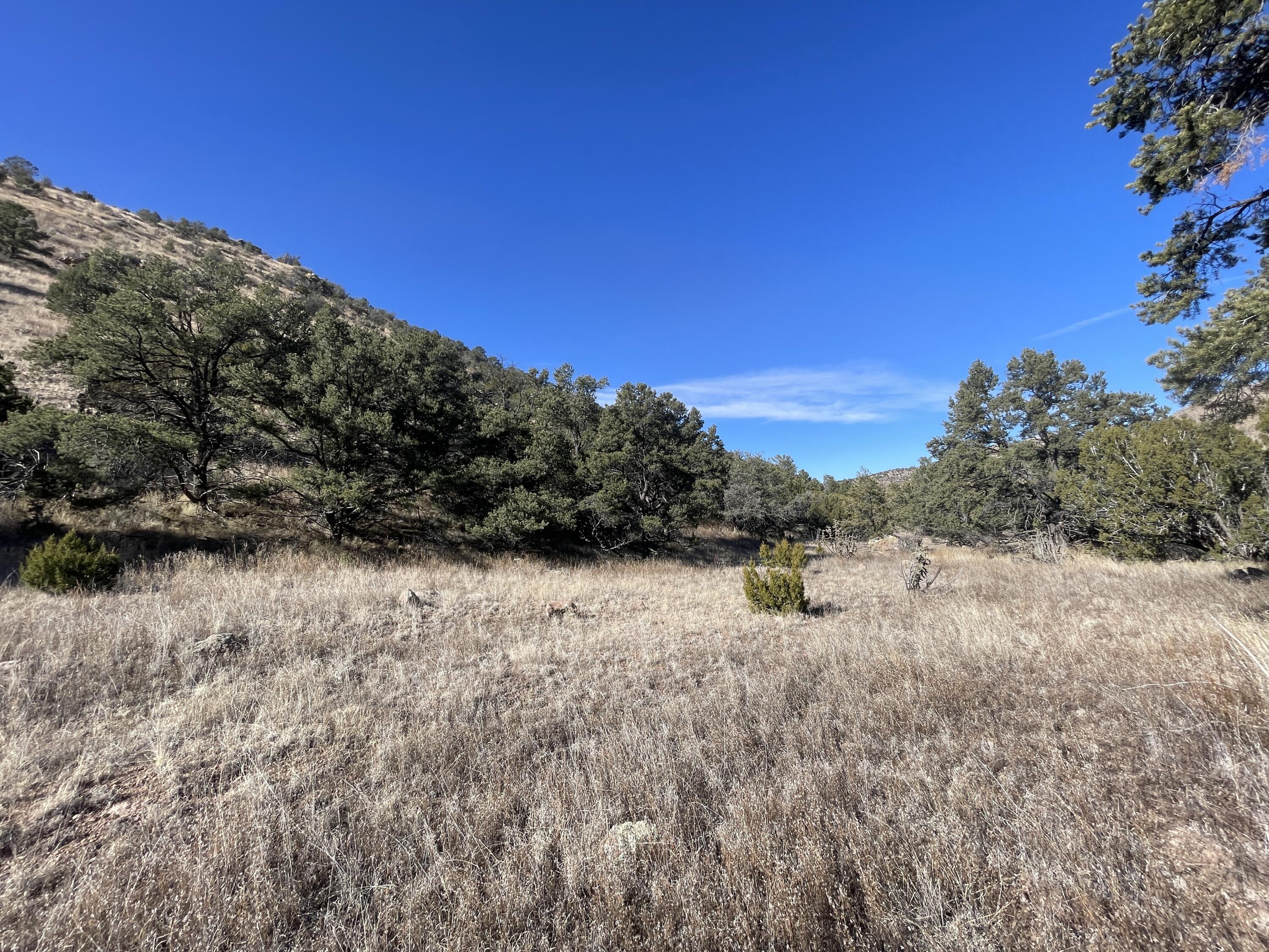 14+ Acres Hop Canyon