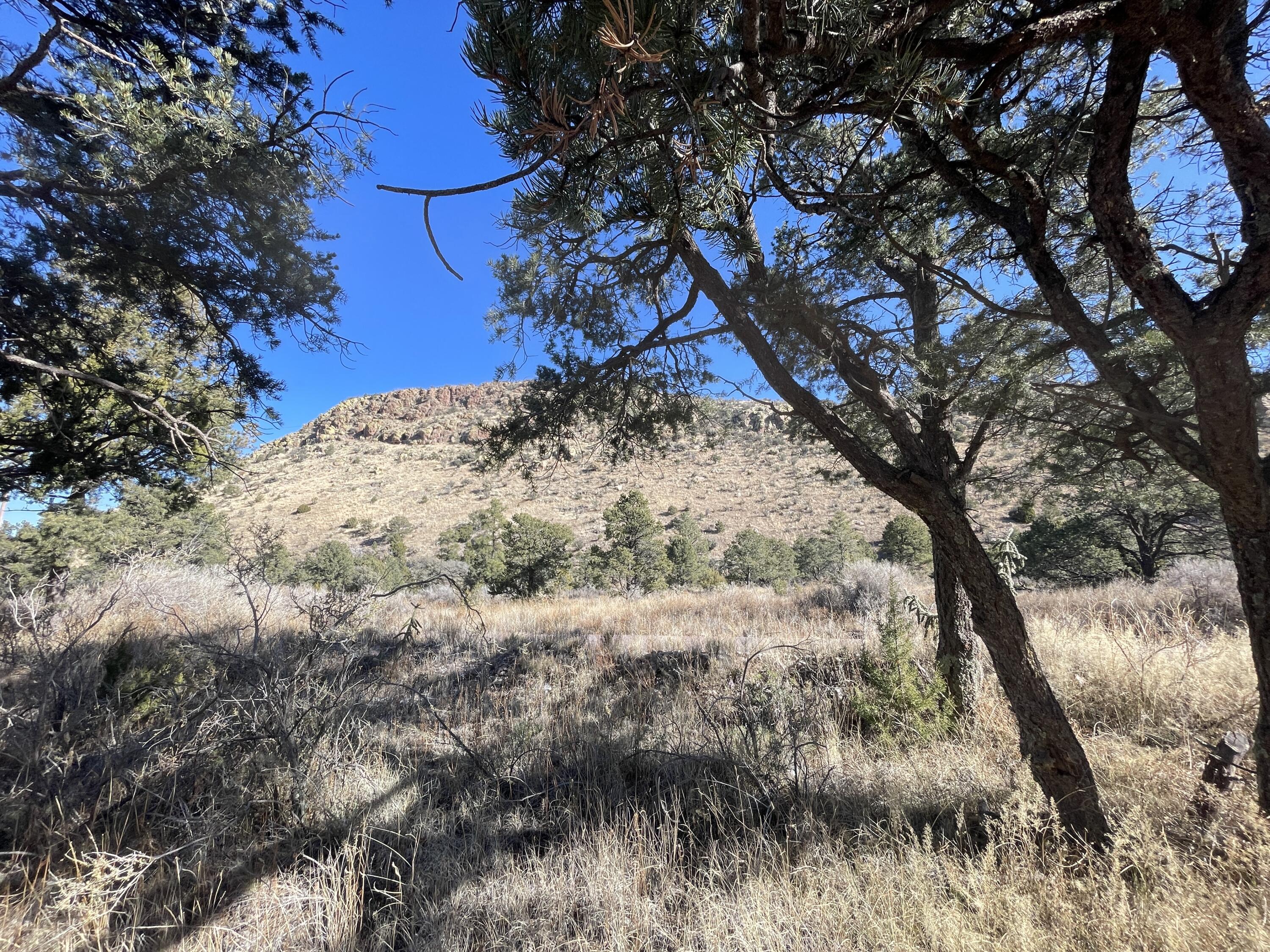 14+ Acres Hop Canyon