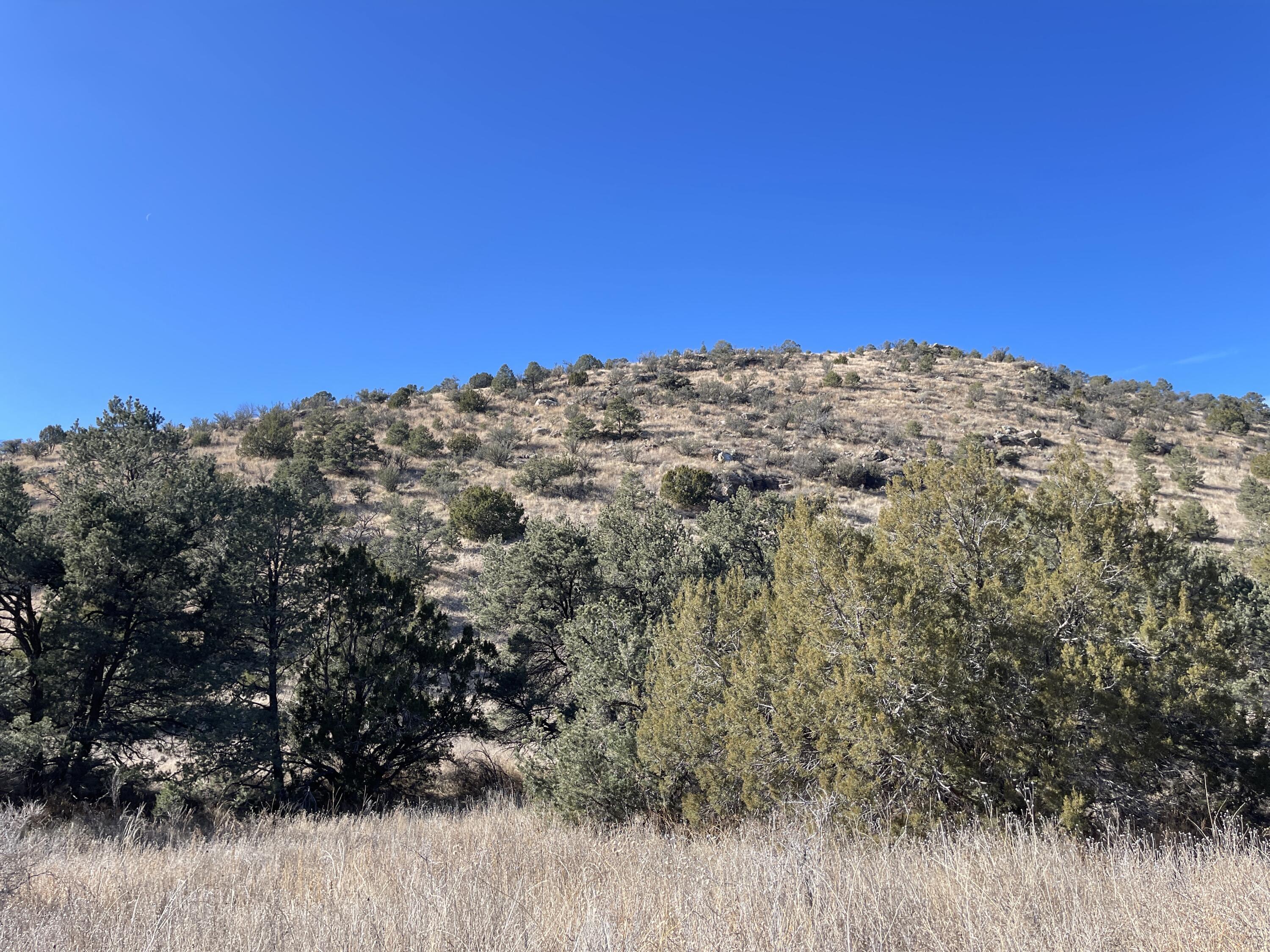 14+ Acres Hop Canyon