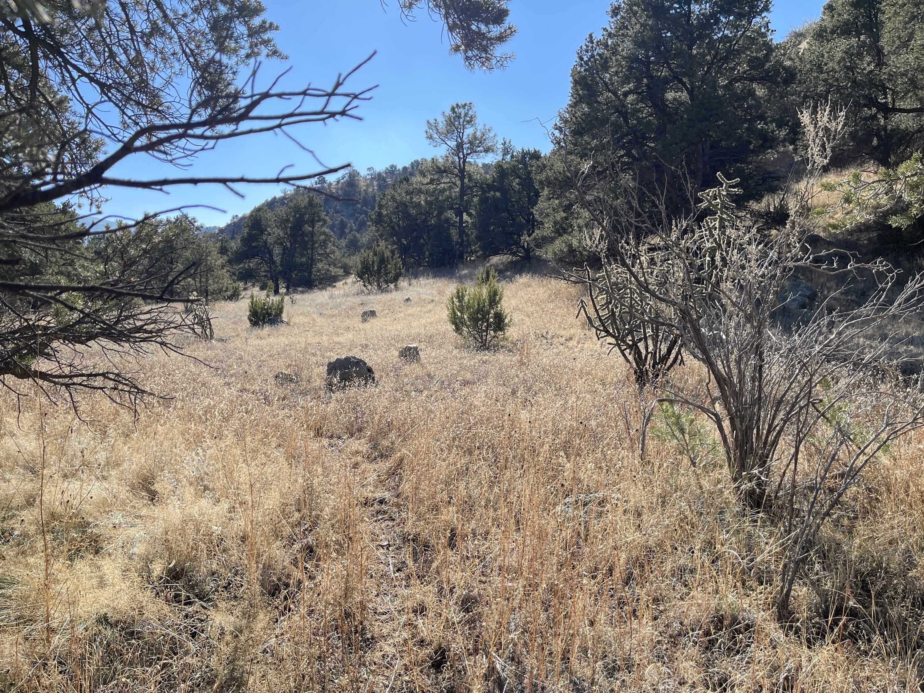 14+ Acres Hop Canyon