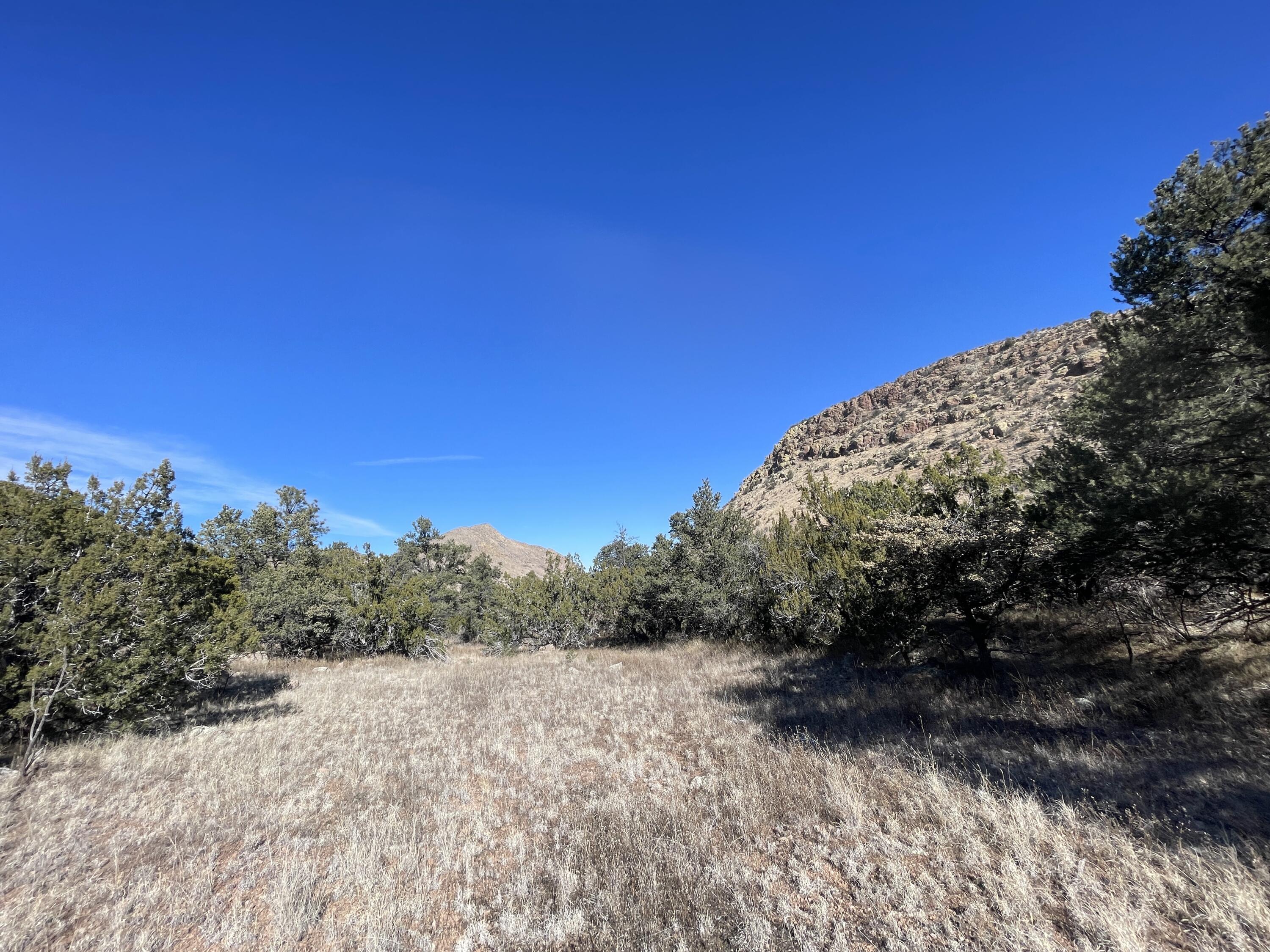 14+ Acres Hop Canyon