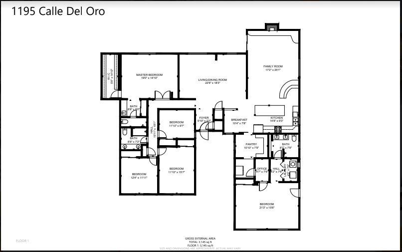 1195 Calle Del Oro