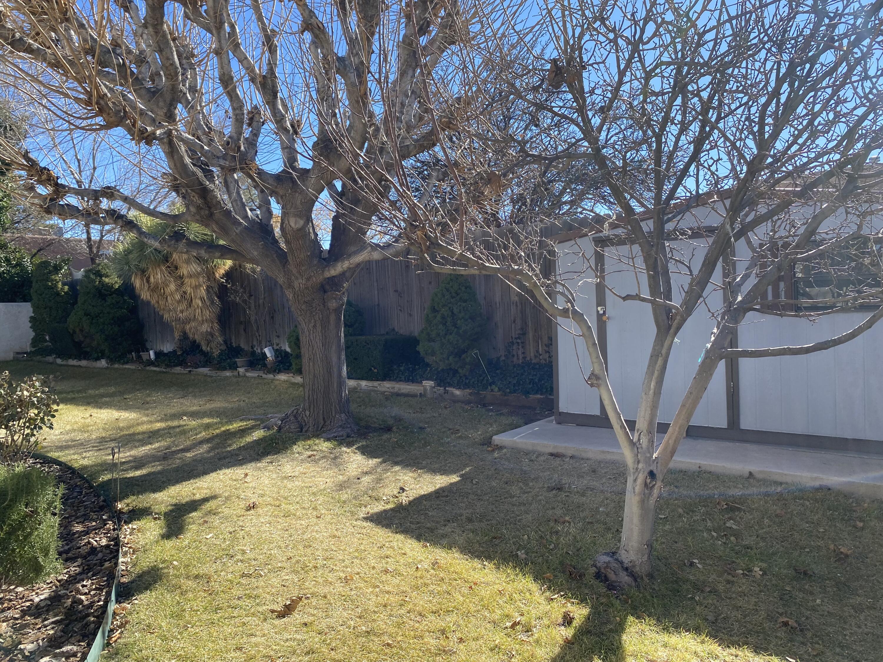 9318 LAGRIMA DE ORO Road NE