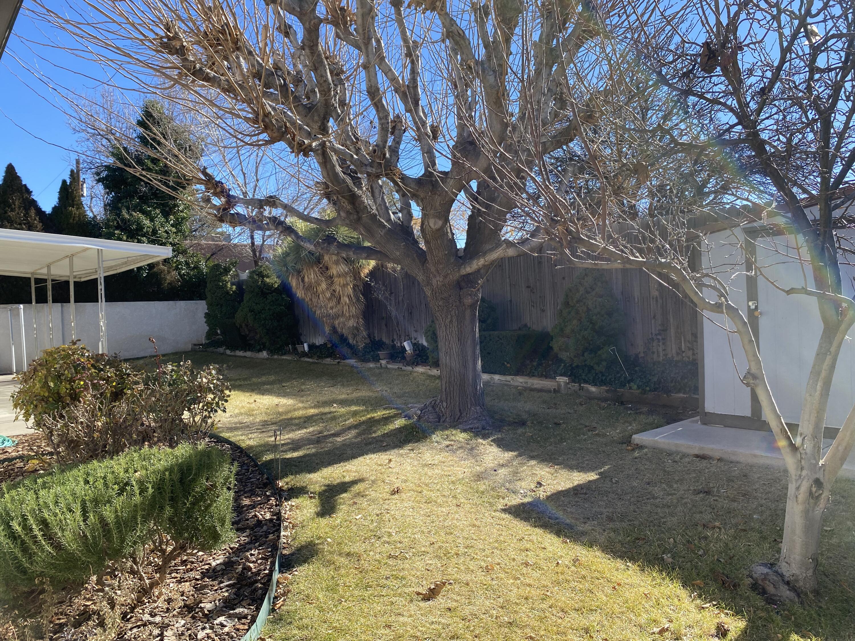 9318 LAGRIMA DE ORO Road NE