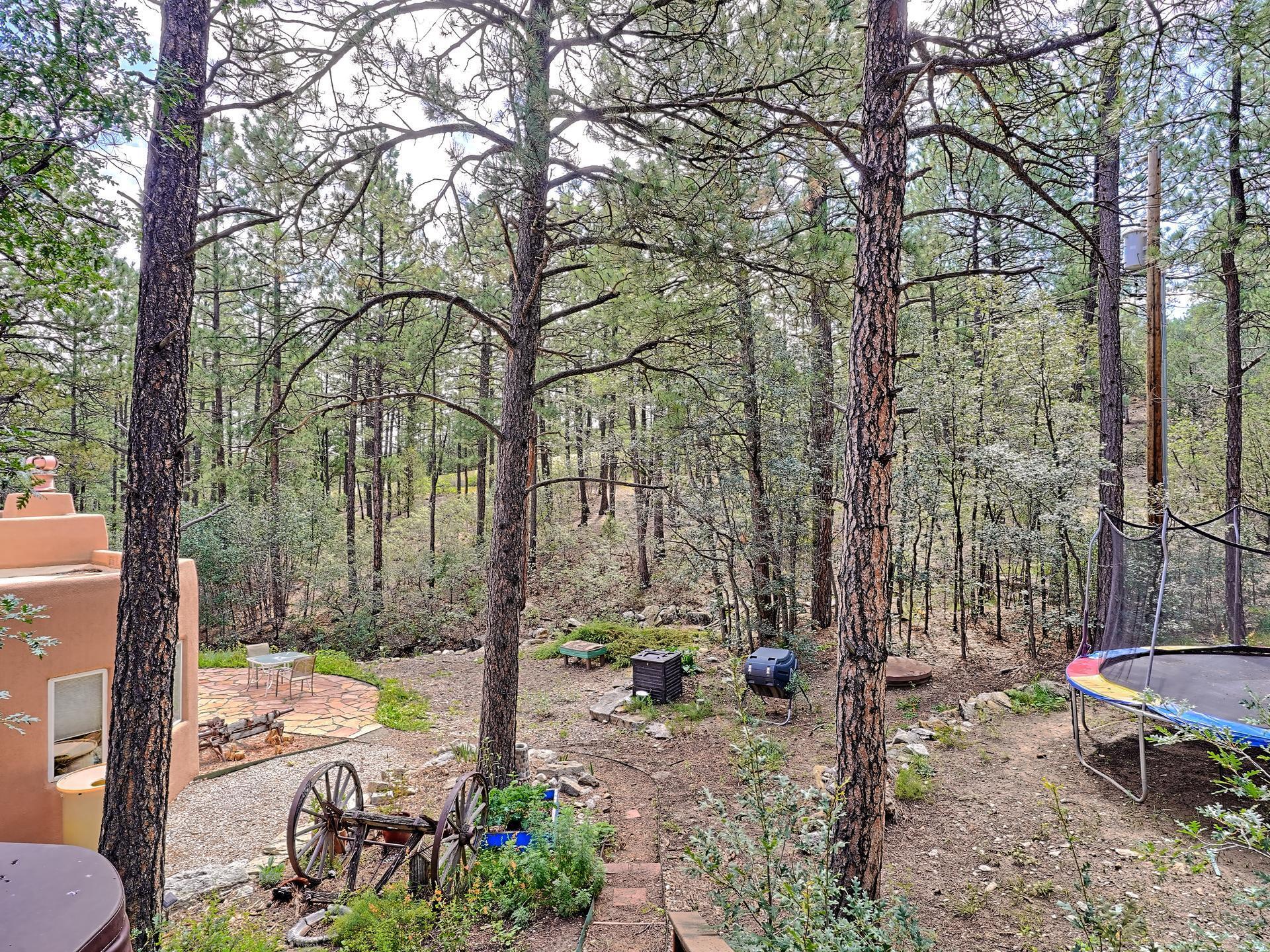 33 RAMBLE WOOD Boulevard