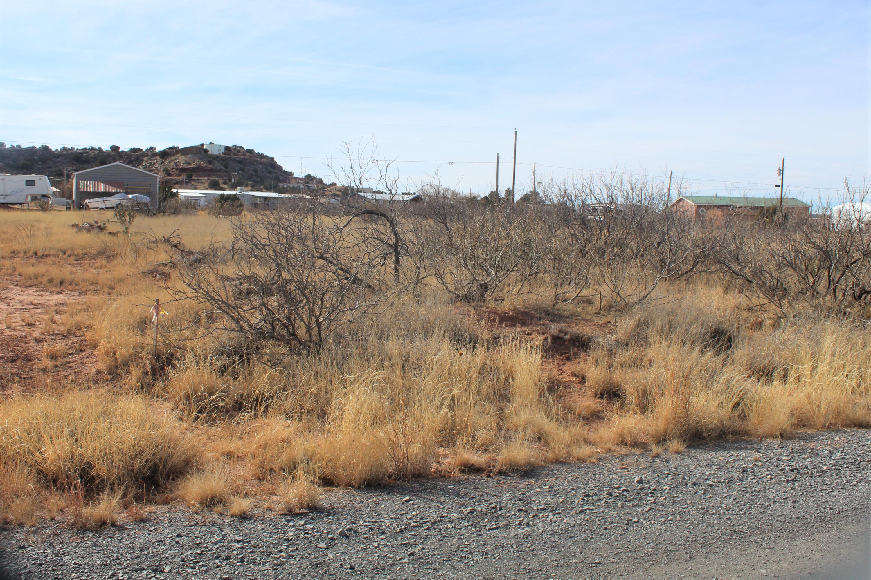 107 Yucca Drive