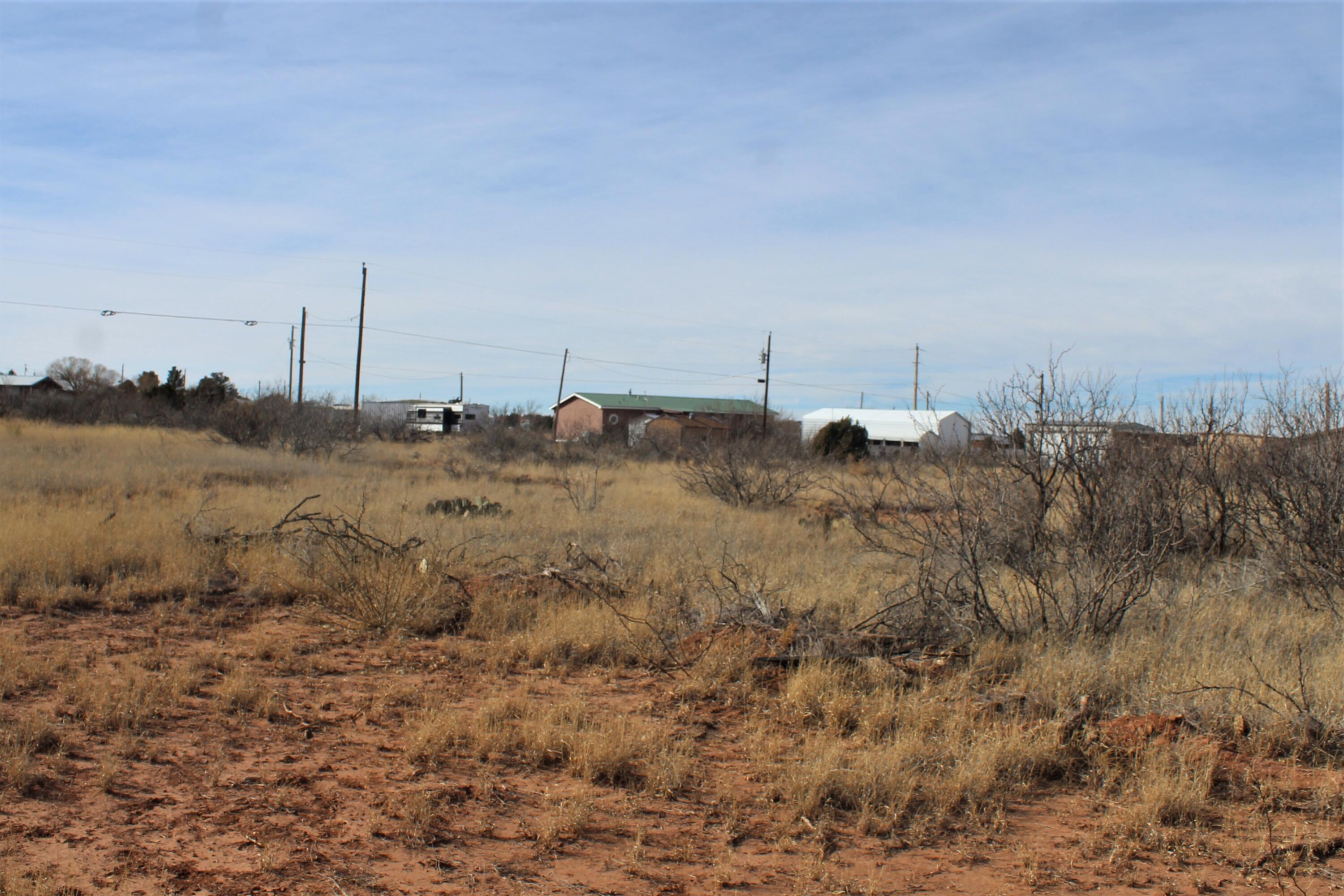 107 Yucca Drive