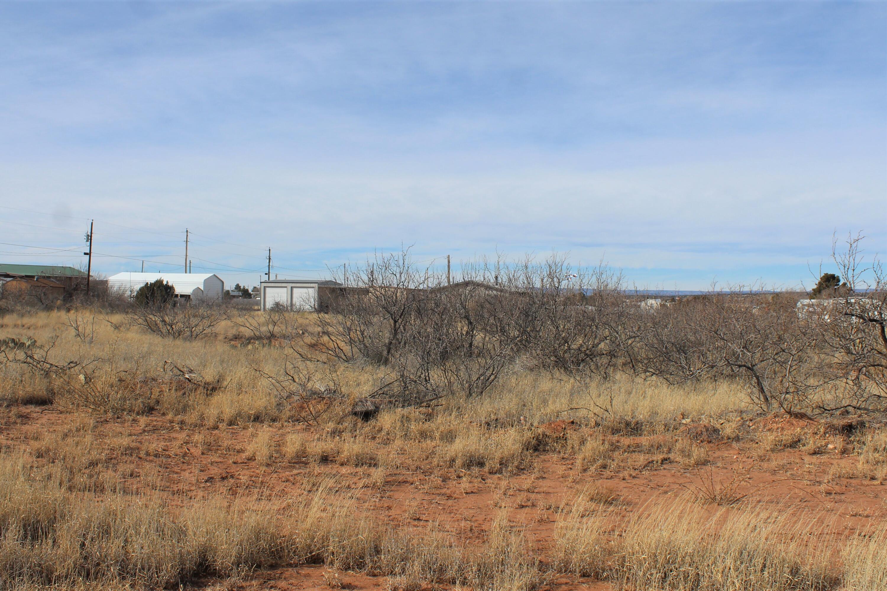 107 Yucca Drive