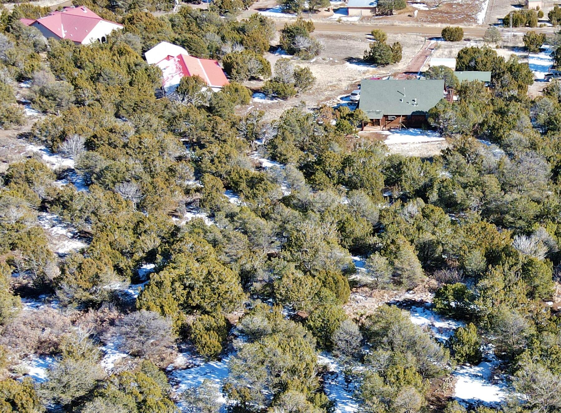 54 STEEPLECHASE Drive