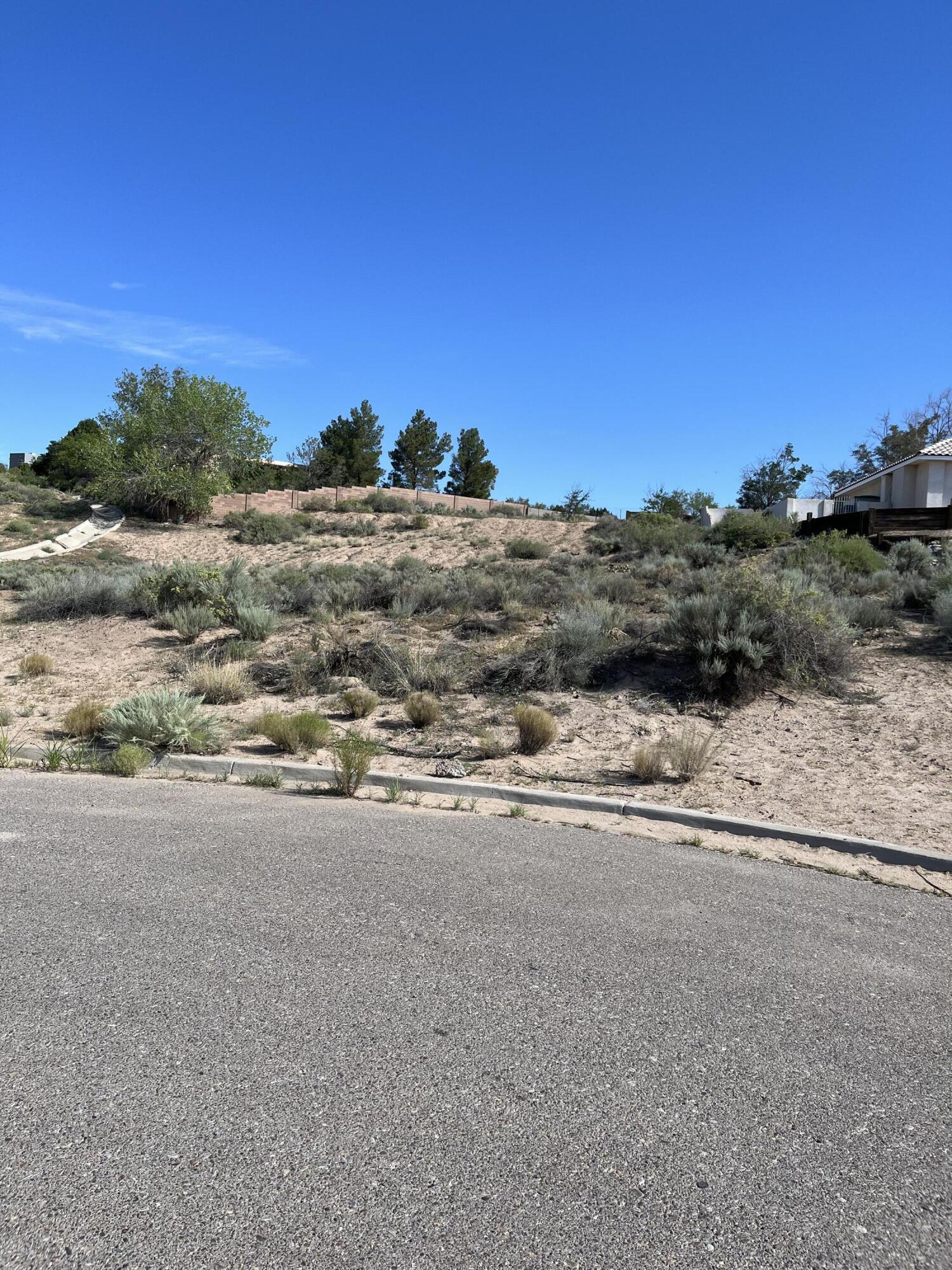 1325 Bluffside Court SW