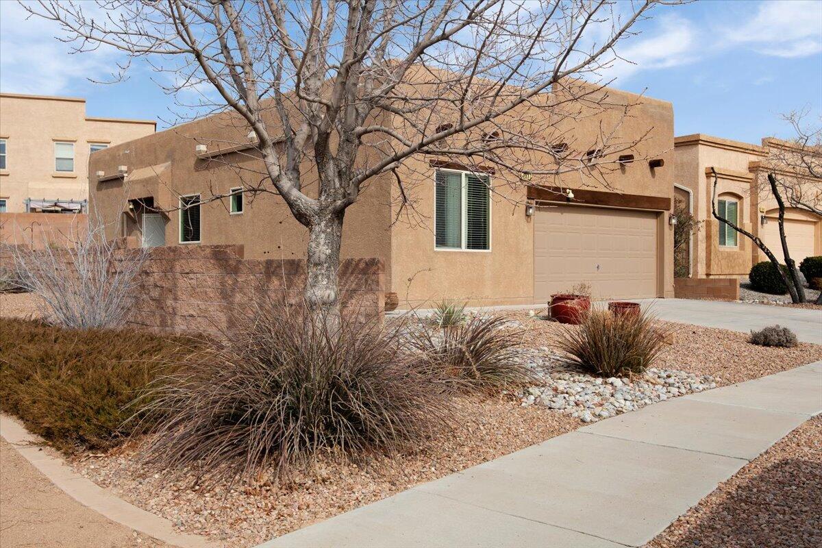 2407 PELIZZANO Drive SE