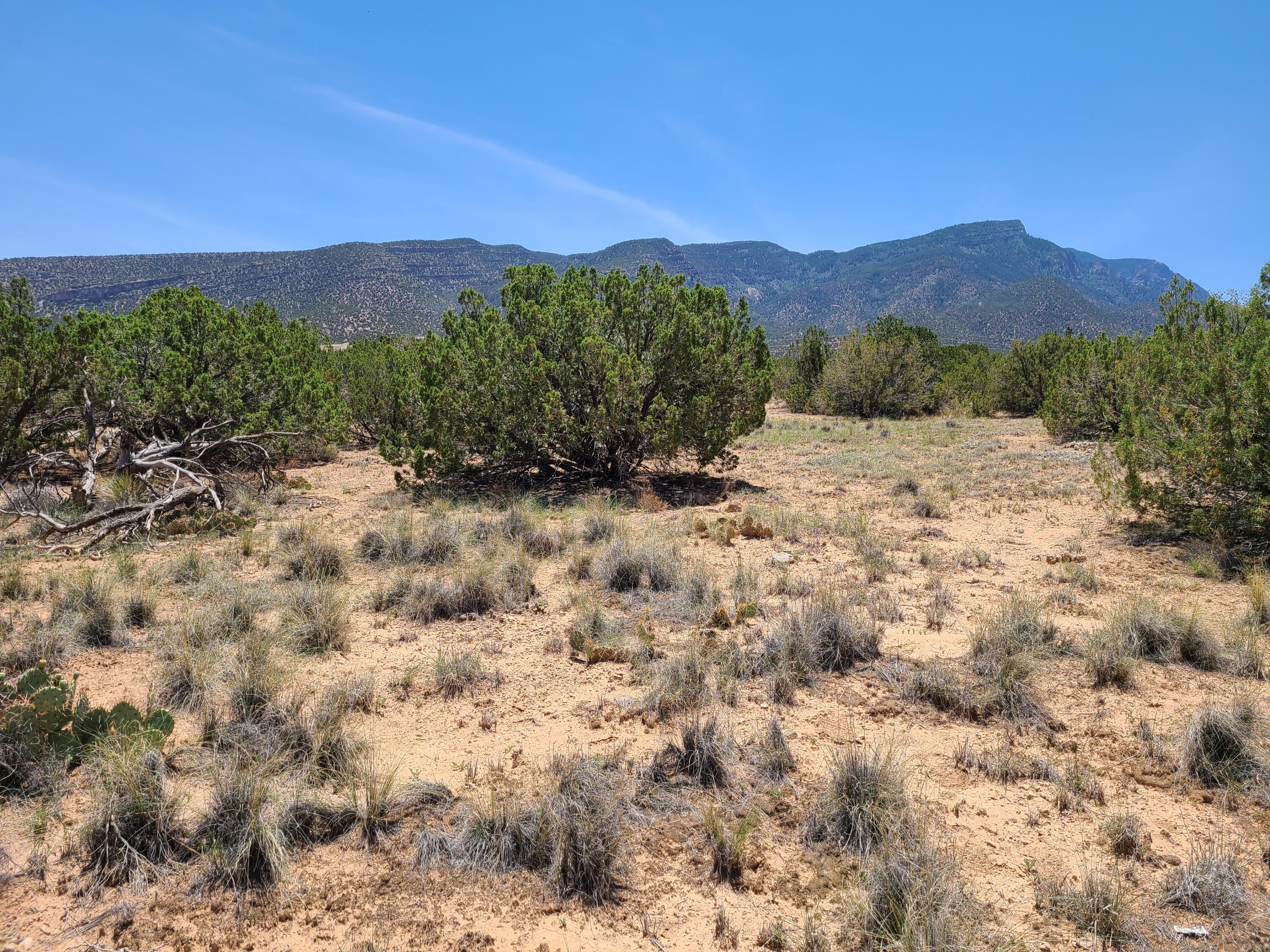 0 Paraje De Verano