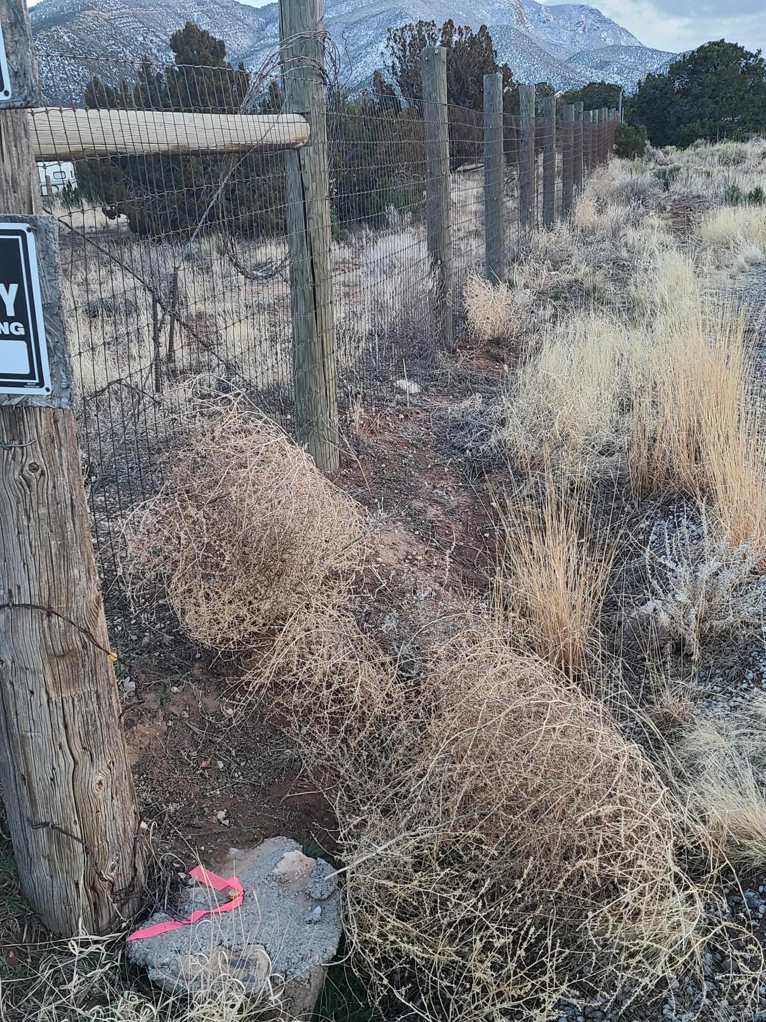 0 Paraje De Verano