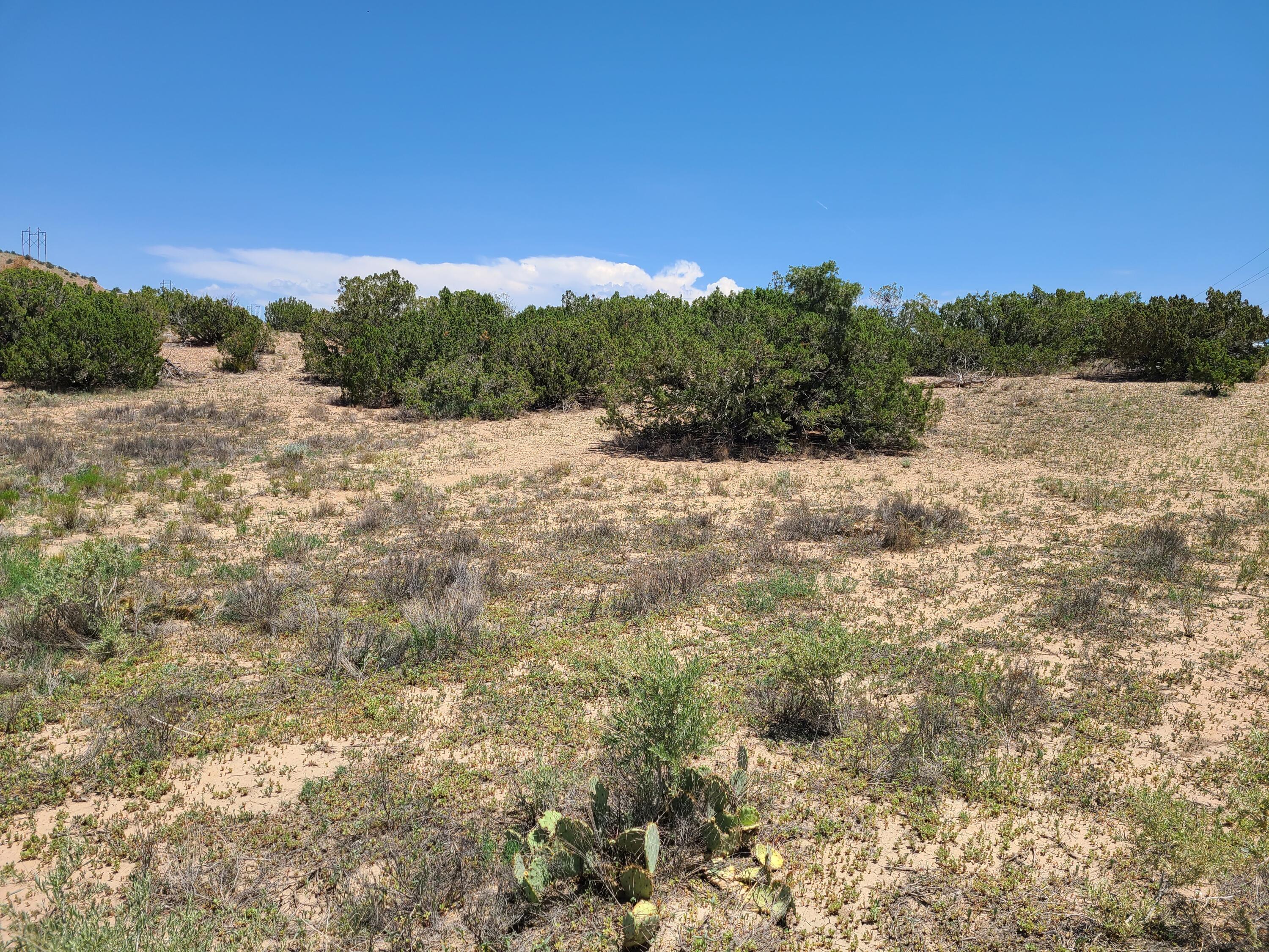 0 Paraje De Verano