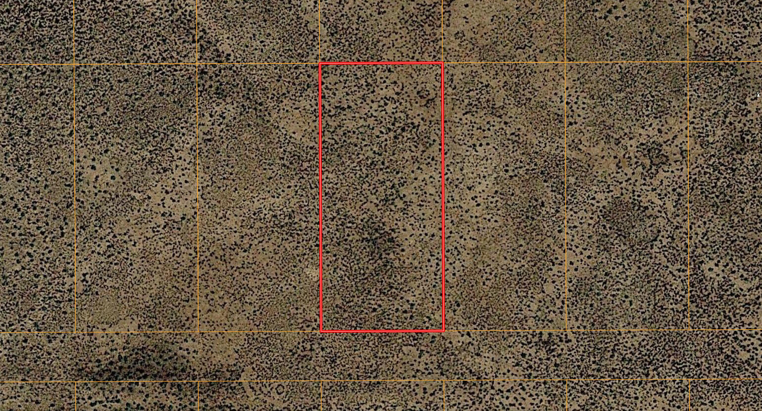 Lot 41 Rio Grande Estates B