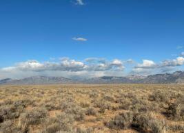 Lot 47, Block 780, Unit D