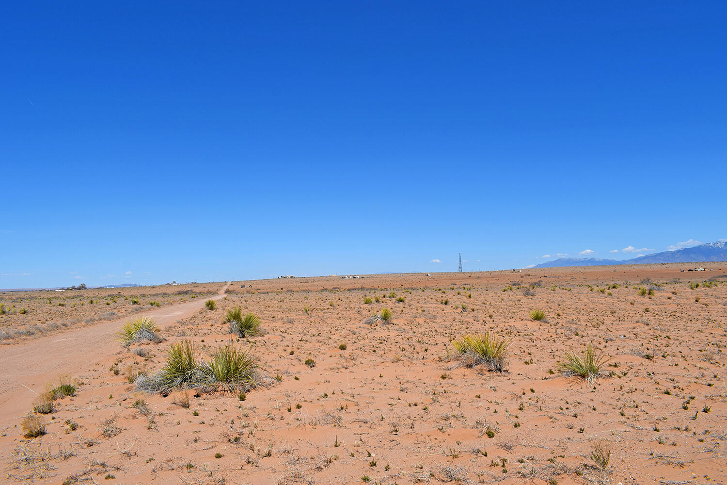 Lot 30 Lamont Street