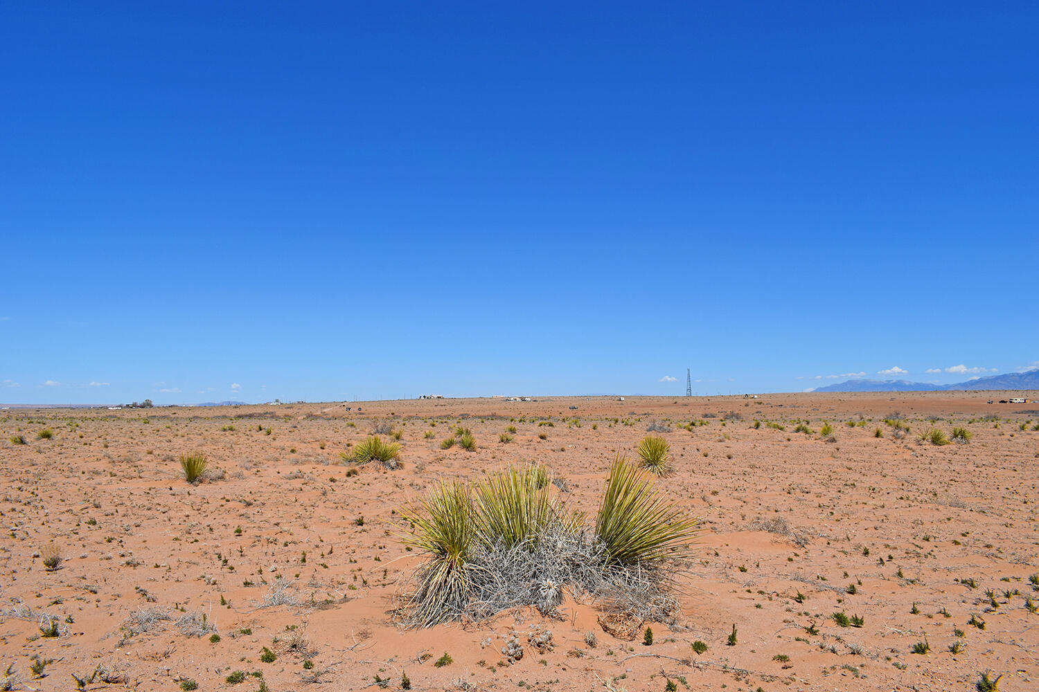 Lot 30 Lamont Street