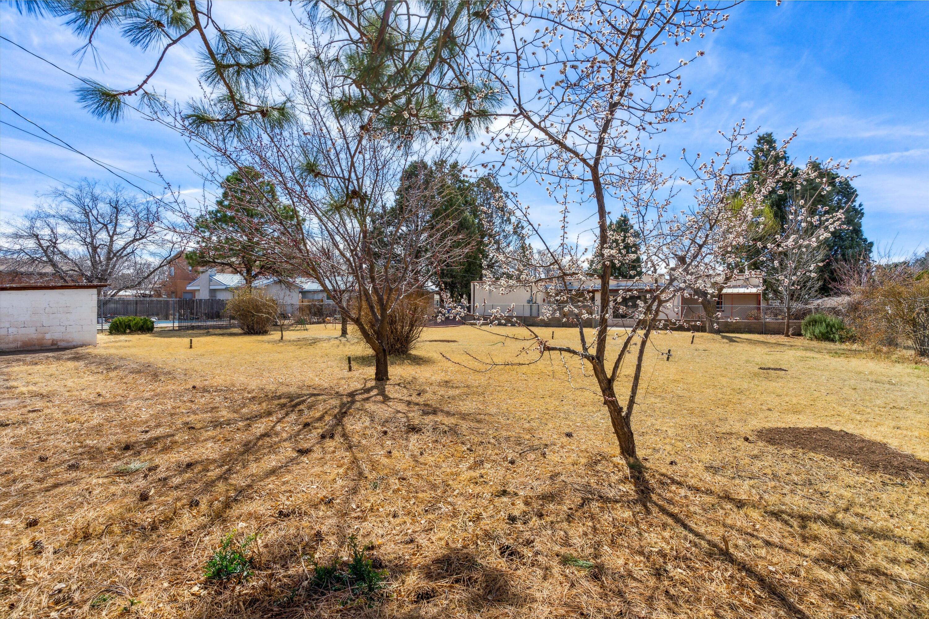1413 Freeman Avenue NW