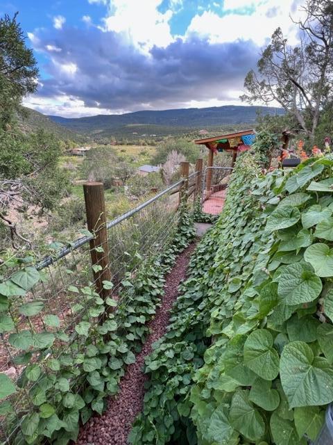 10 PERDIZ CANYON Road