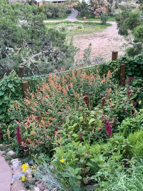 10 PERDIZ CANYON Road
