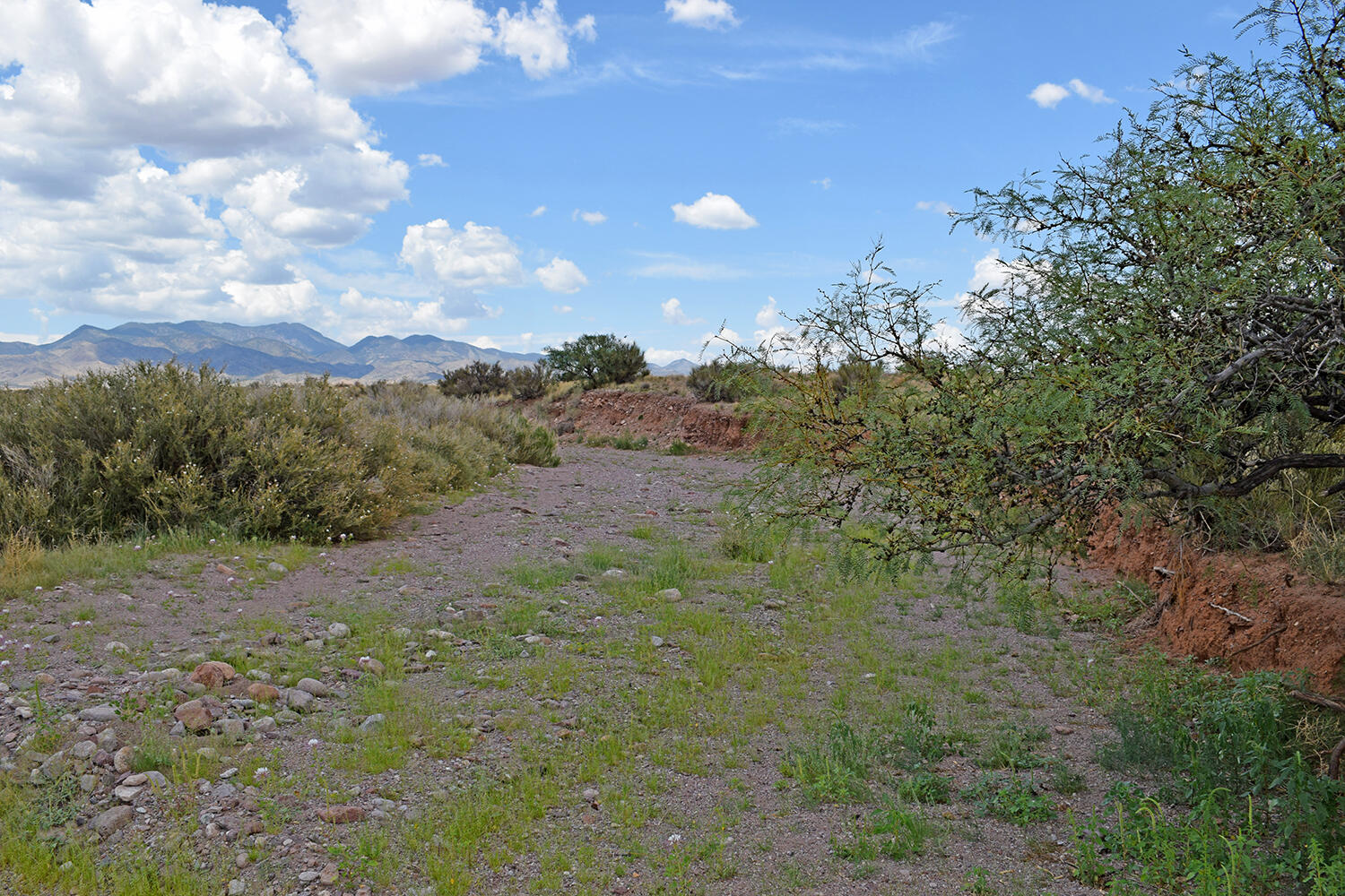 205 Muledeer Trail
