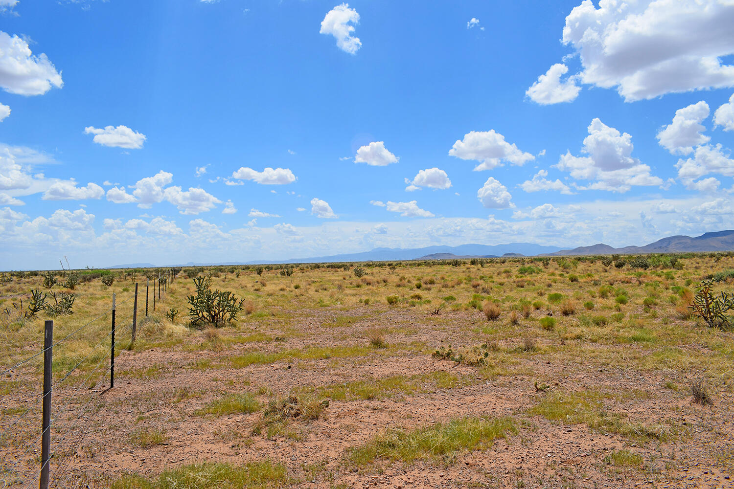 205 Muledeer Trail