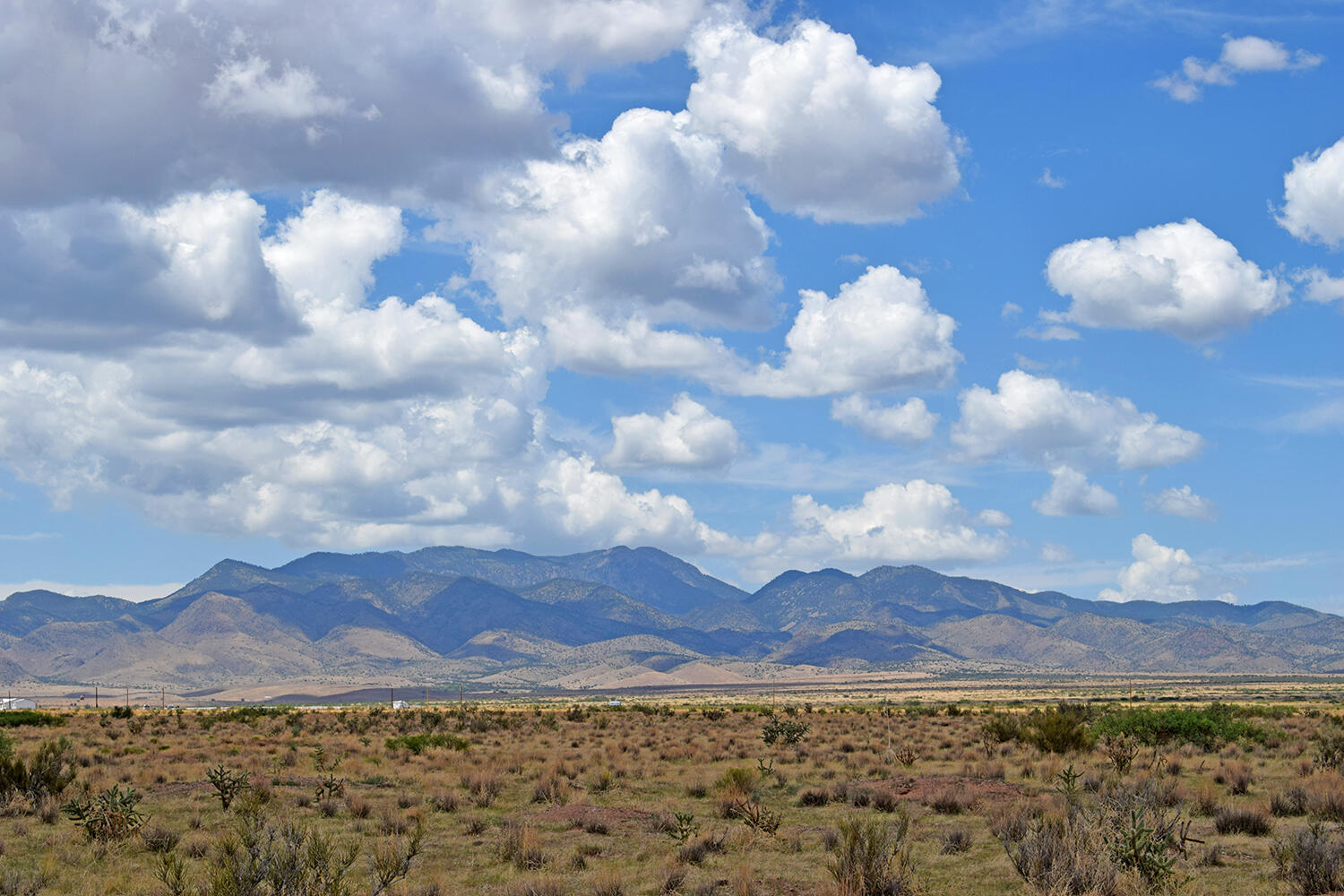 205 Muledeer Trail