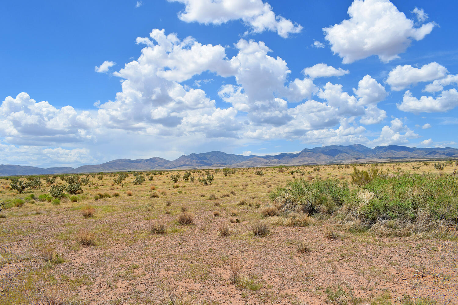 205 Muledeer Trail