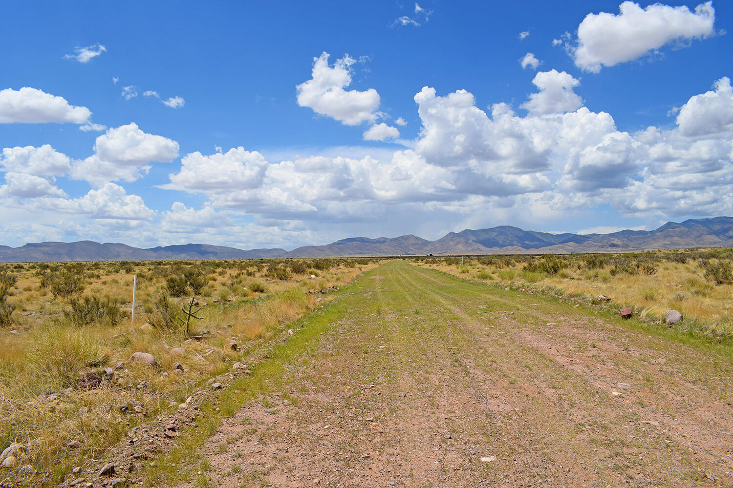 205 Muledeer Trail