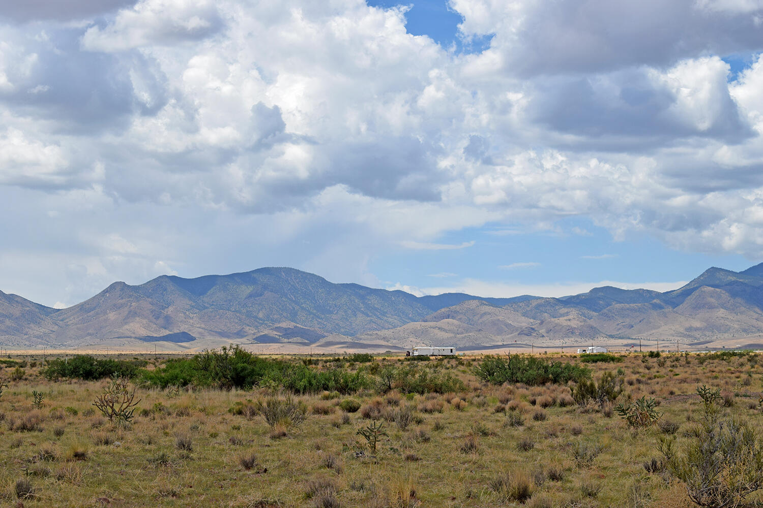 205 Muledeer Trail