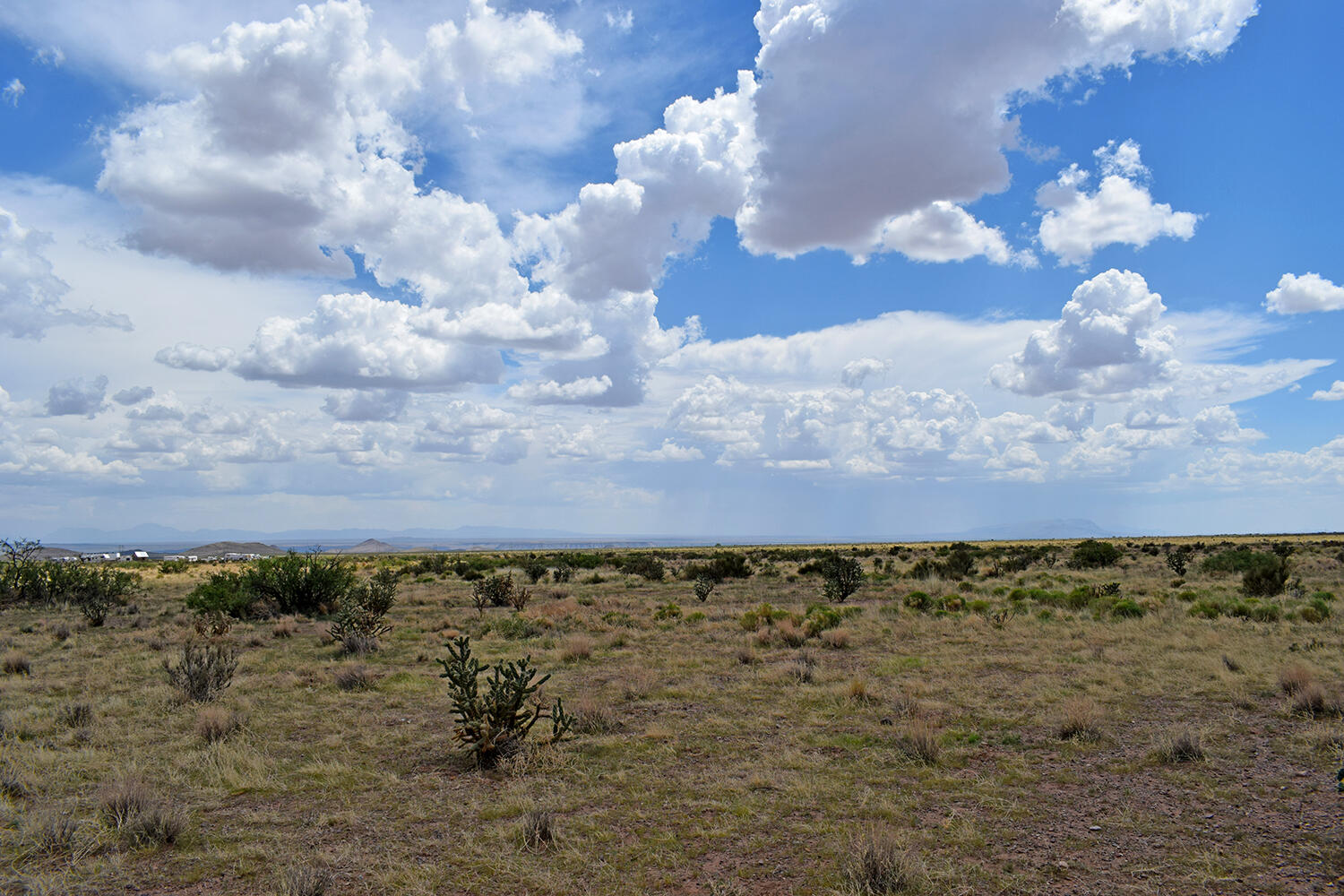 205 Muledeer Trail