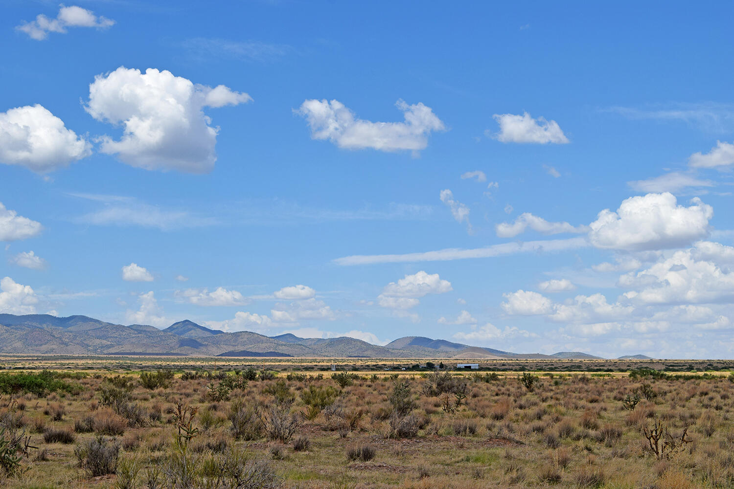 205 Muledeer Trail