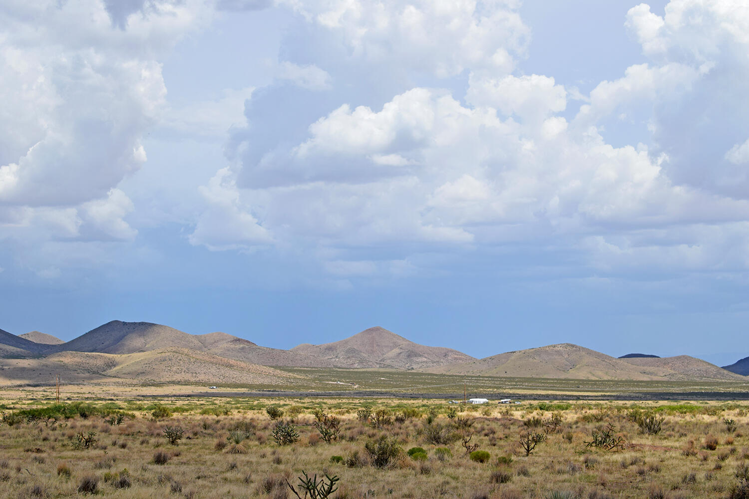 205 Muledeer Trail