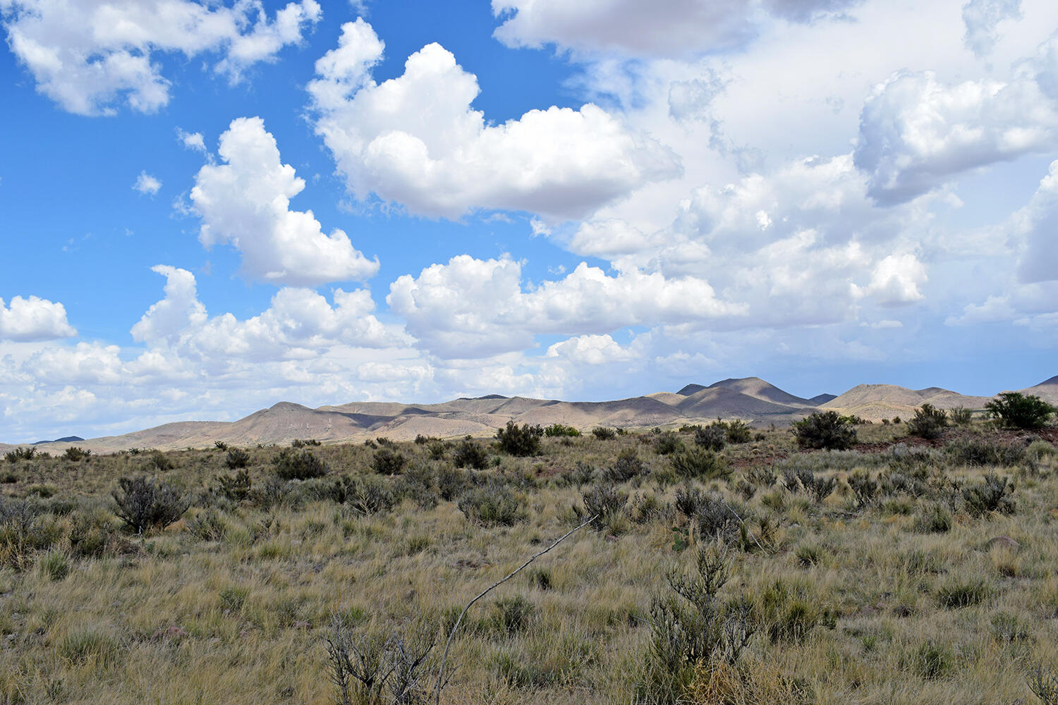 205 Muledeer Trail