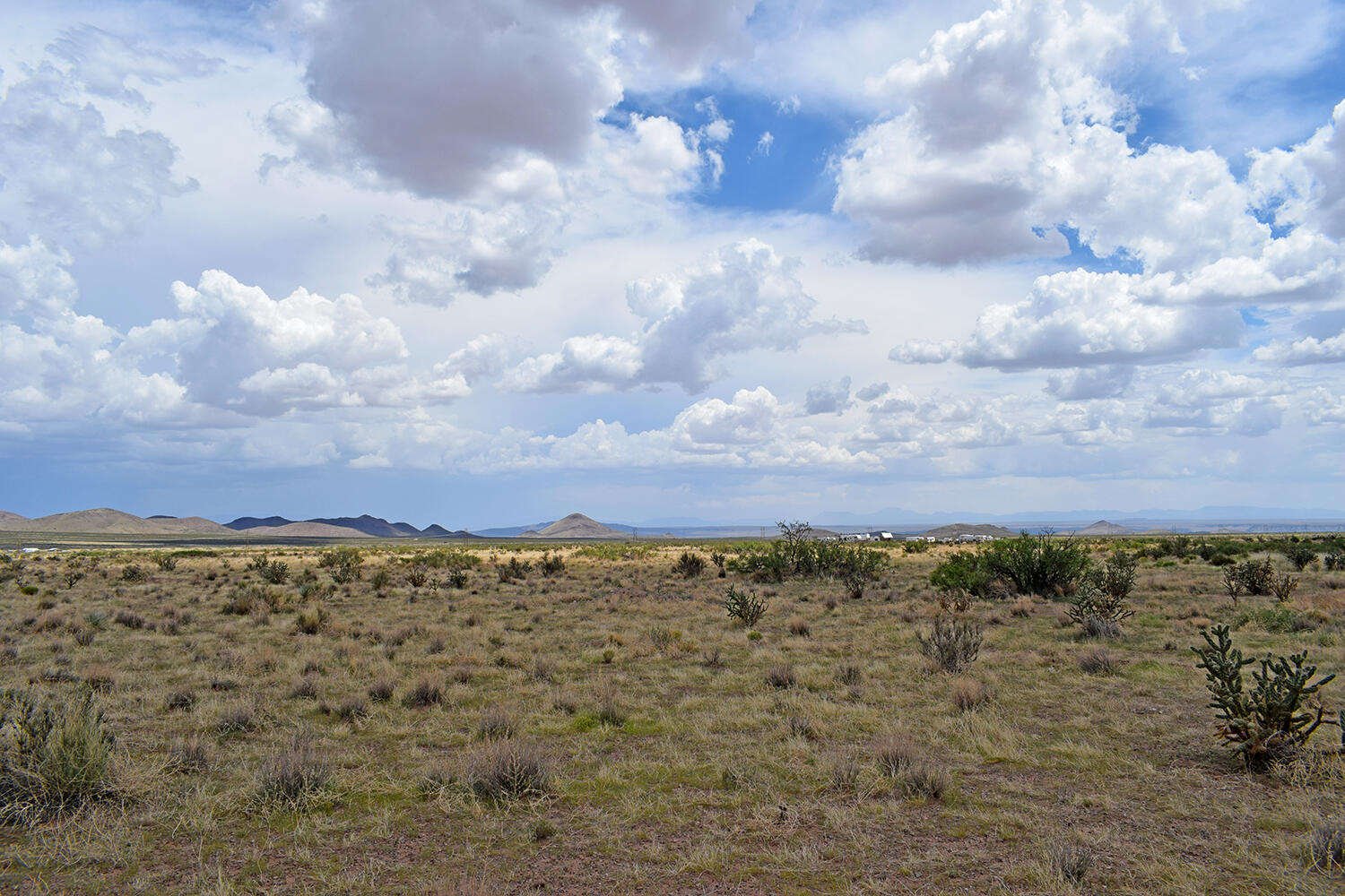 205 Muledeer Trail
