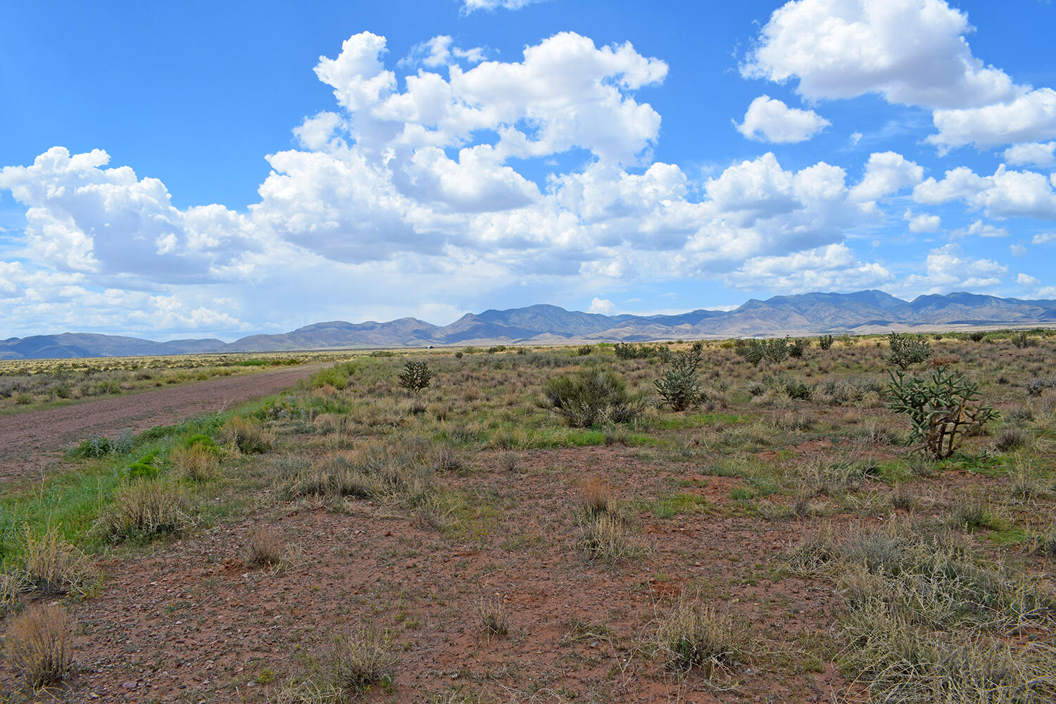 205 Muledeer Trail