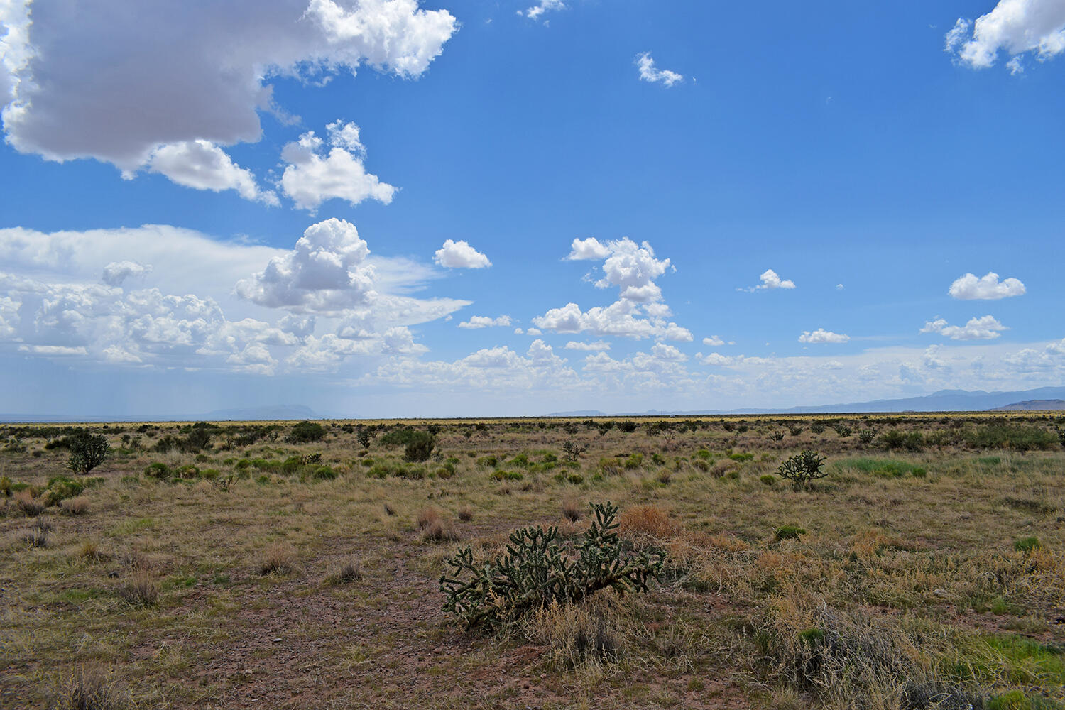 205 Muledeer Trail