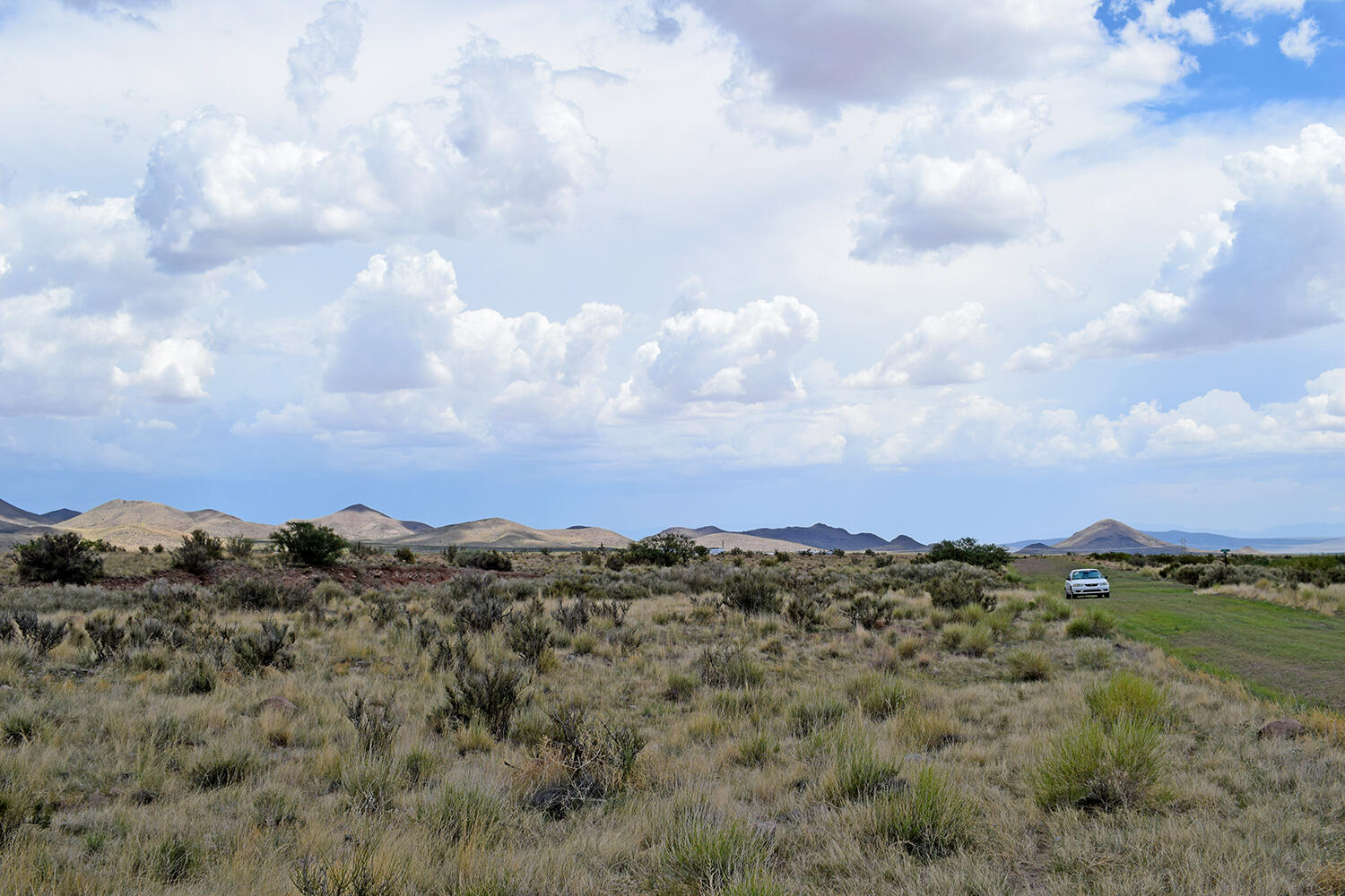 205 Muledeer Trail