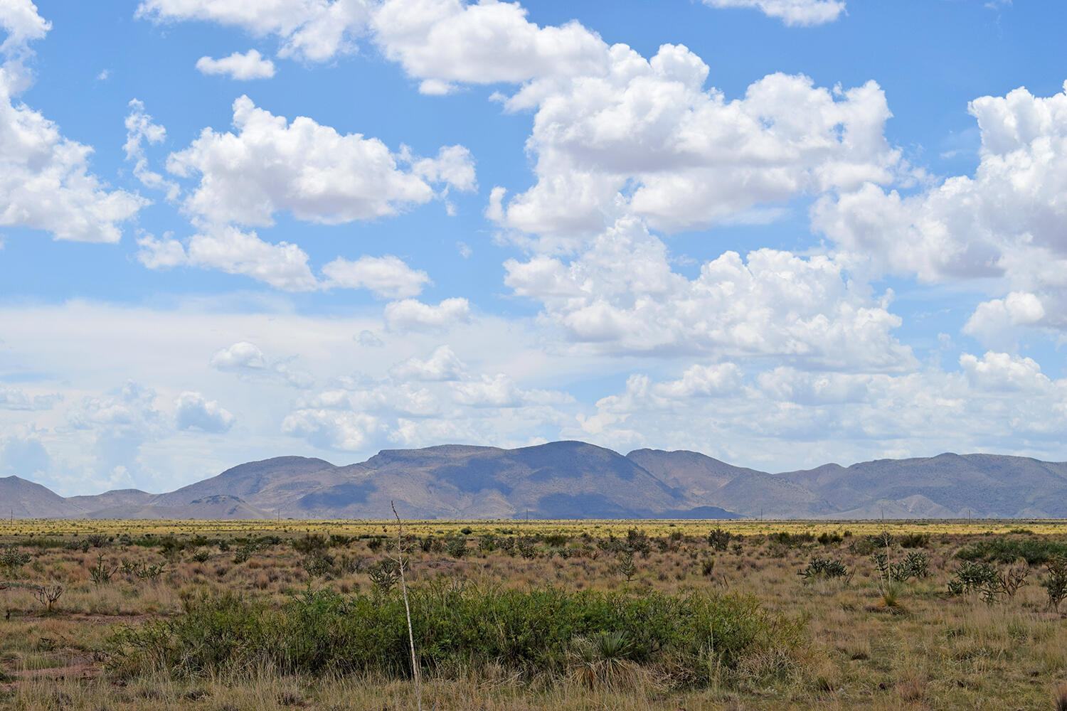 205 Muledeer Trail