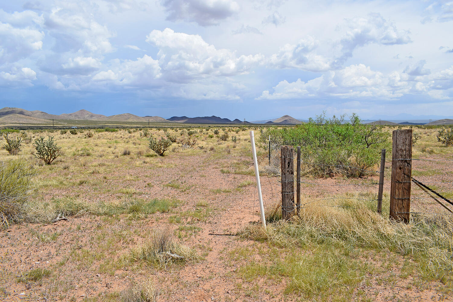 205 Muledeer Trail