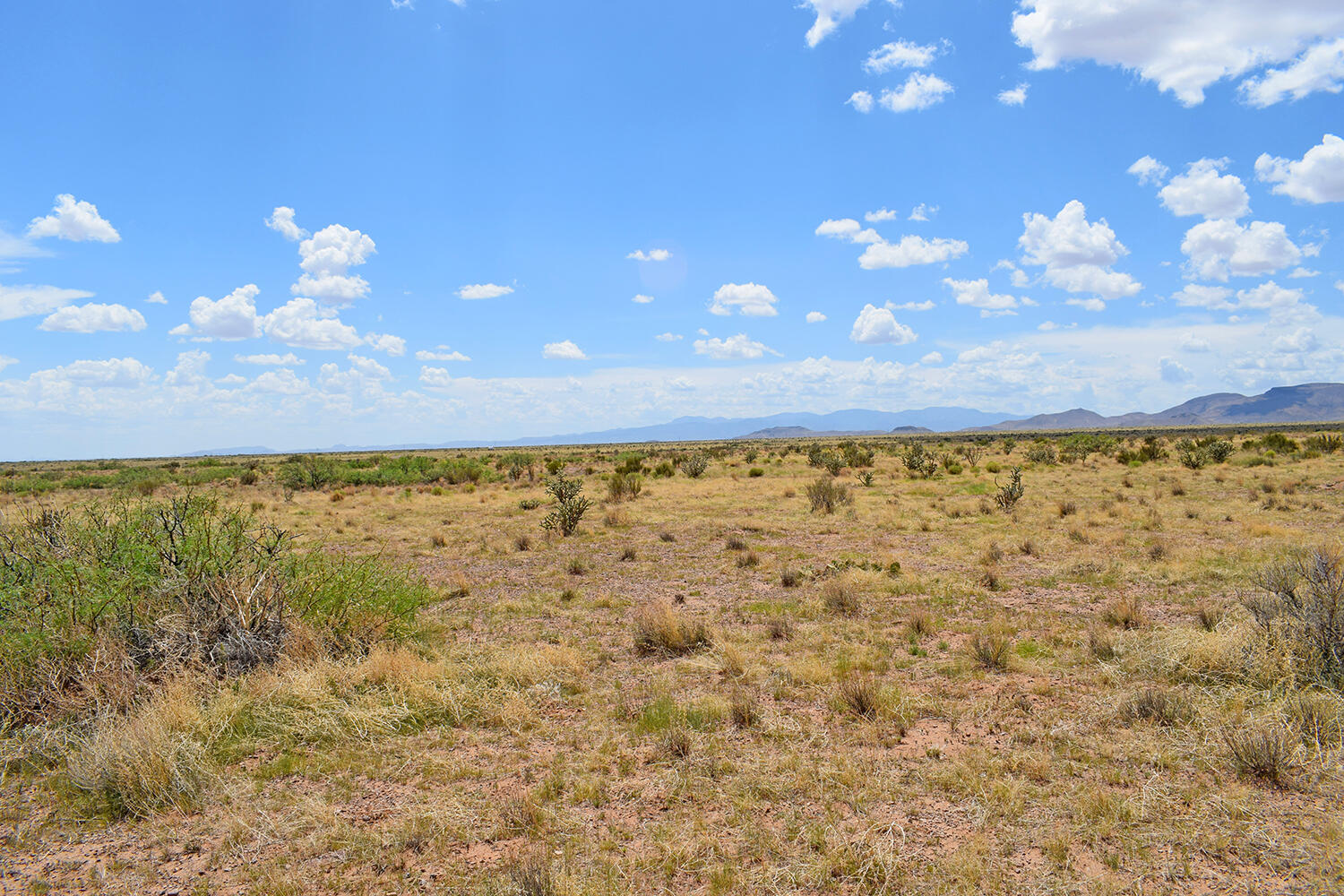 205 Muledeer Trail