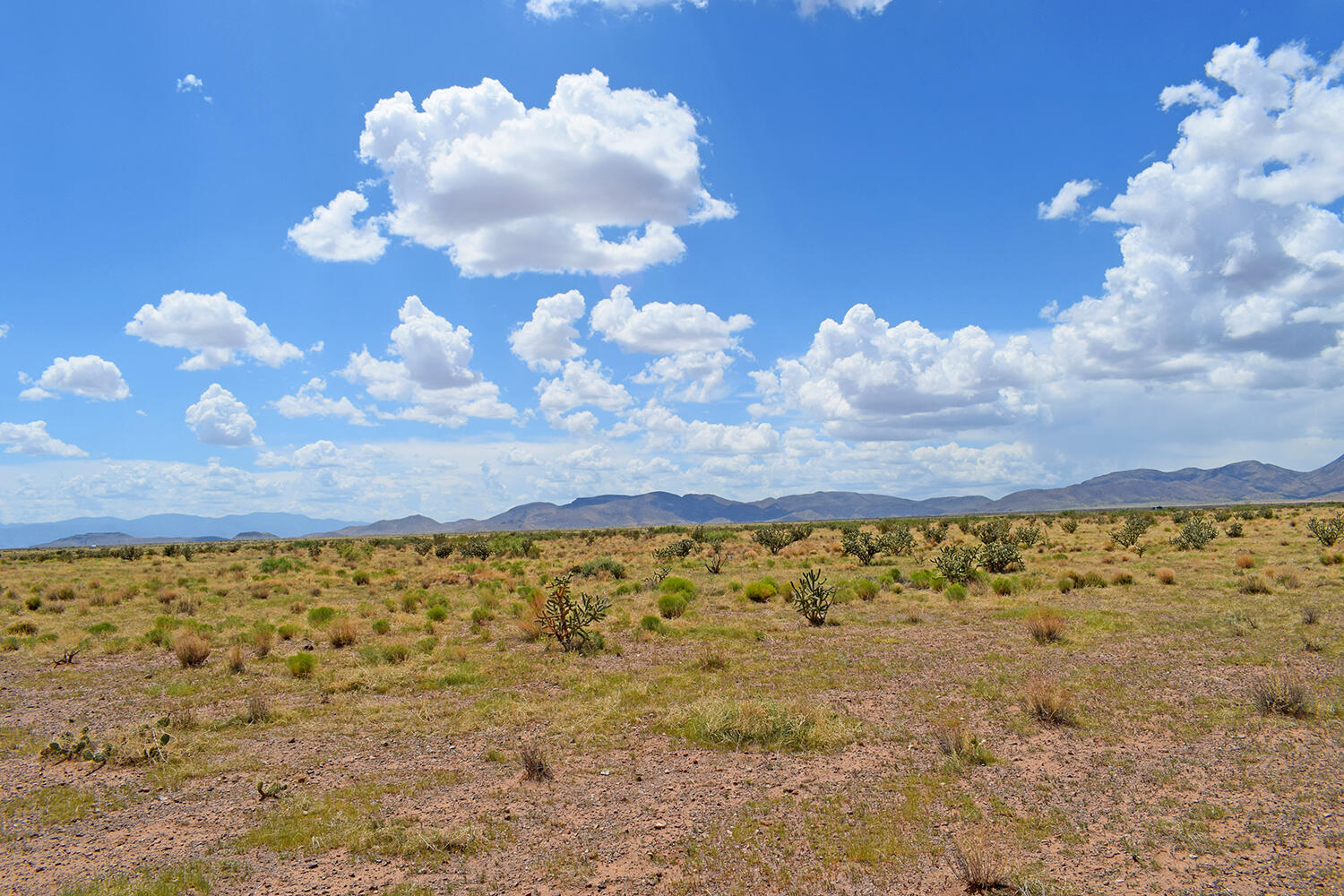 205 Muledeer Trail