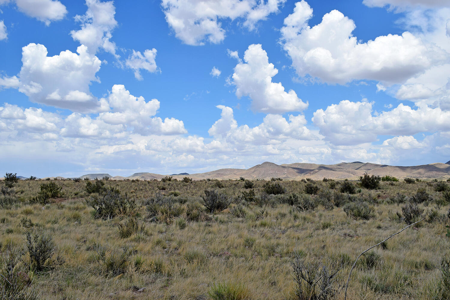 205 Muledeer Trail