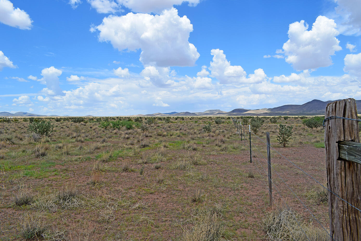 205 Muledeer Trail